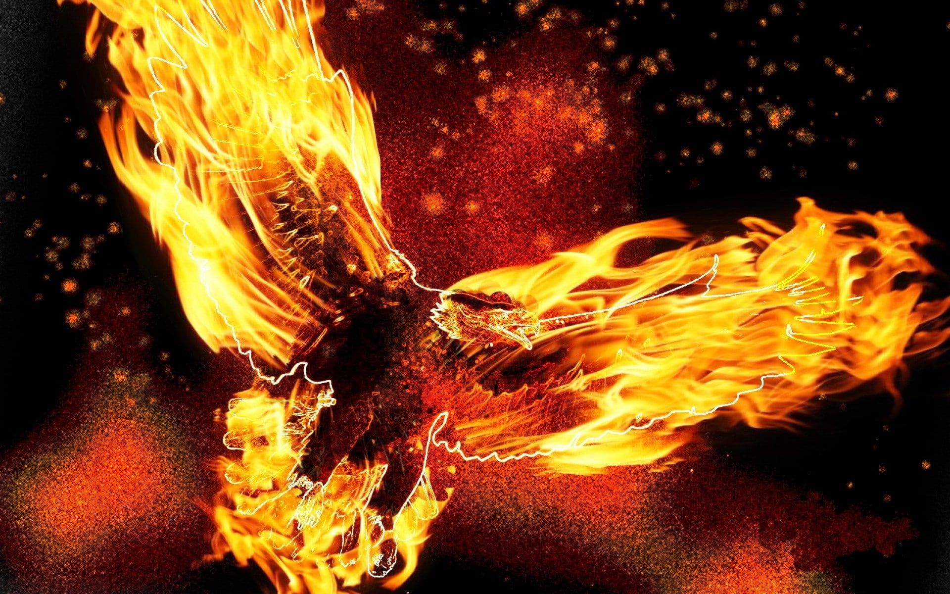 Fire Eagle Wallpapers - 4k, HD Fire Eagle Backgrounds on WallpaperBat