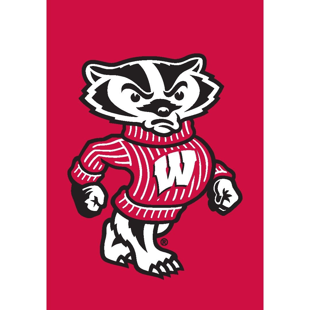 Bucky Badger Wallpapers - 4k, HD Bucky Badger Backgrounds on WallpaperBat