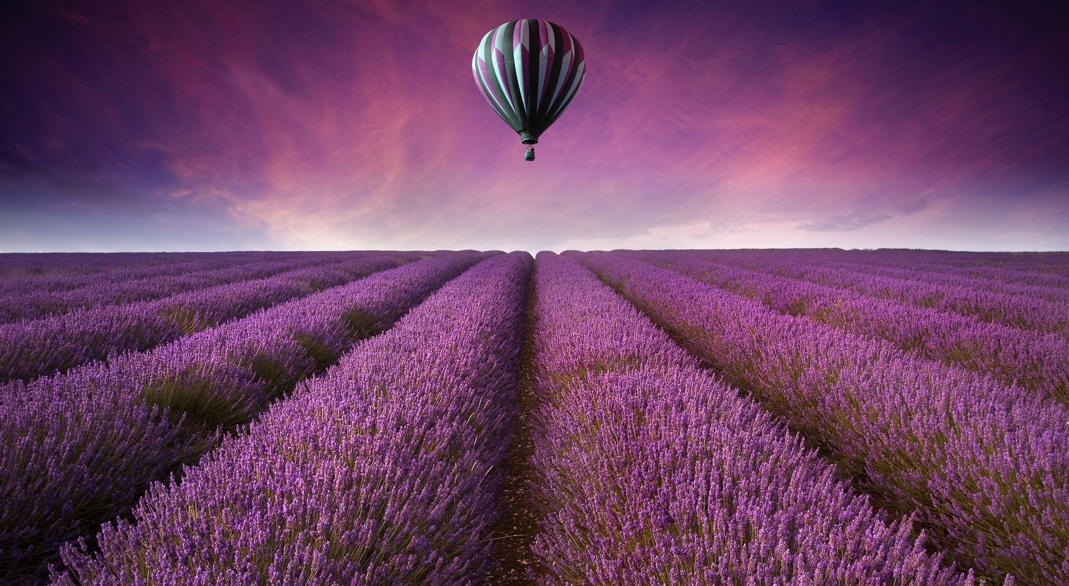 3500x1920 208 Lavender HD Wallpapers | Background Images - Wallpaper Abyss Wallpaper