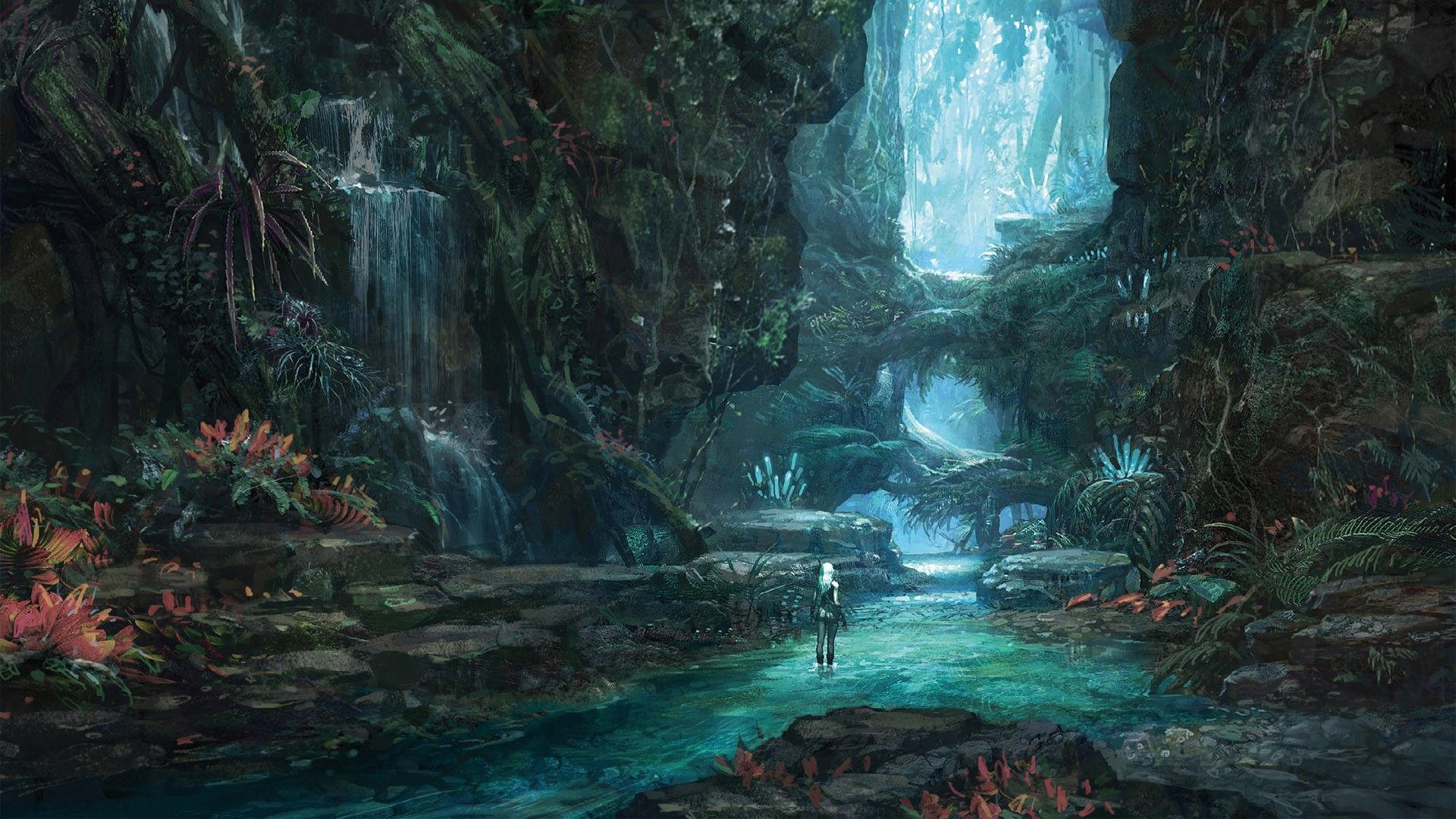 Deep forest wallpapers 4k hd deep forest backgrounds on wallpaperbat