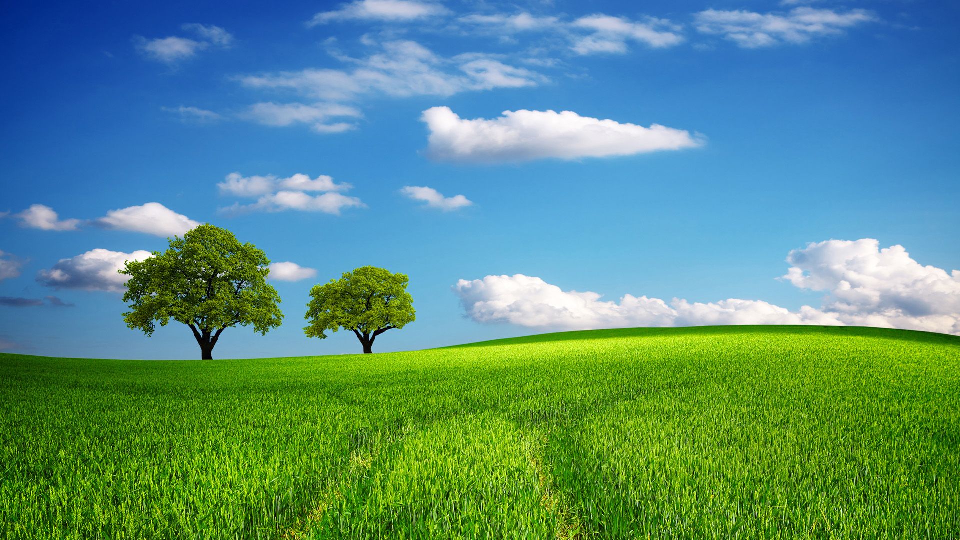 Green Pastures Wallpapers - 4k, HD Green Pastures Backgrounds on
