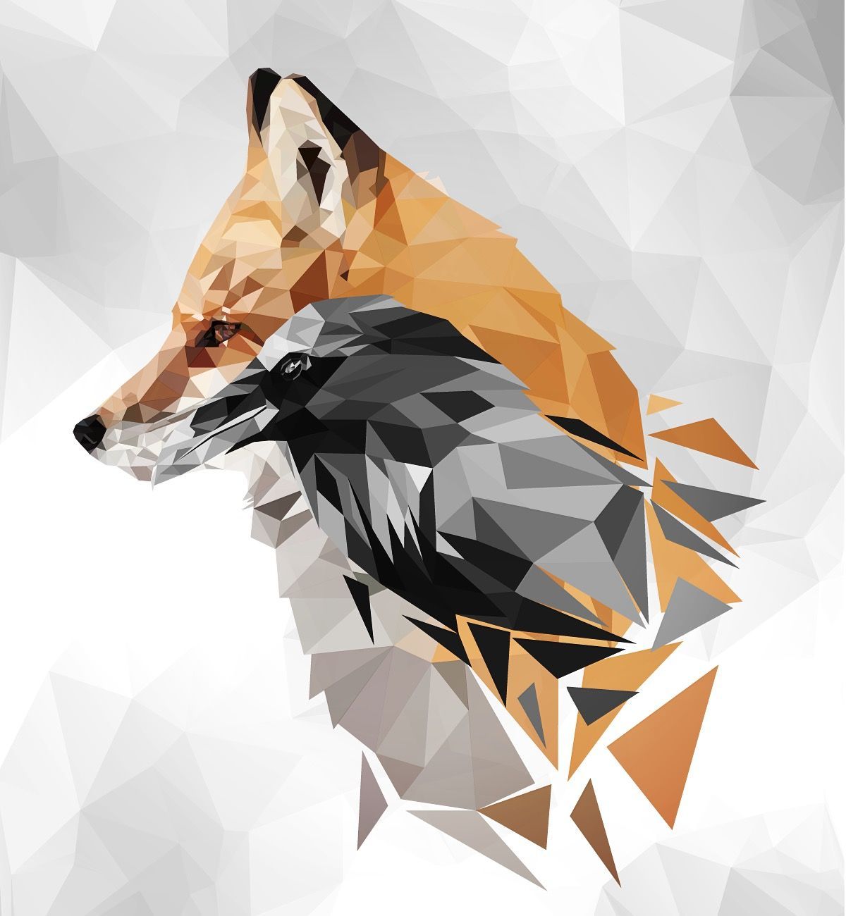 Geometric Fox Wallpapers - 4k, HD Geometric Fox Backgrounds on WallpaperBat