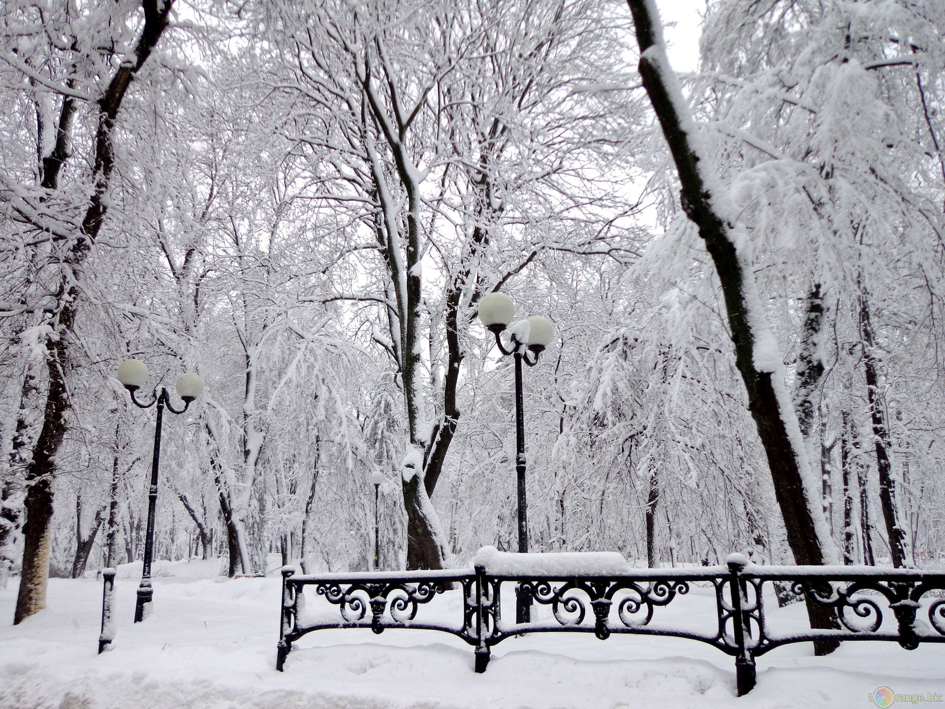 Зимний парк с оградой