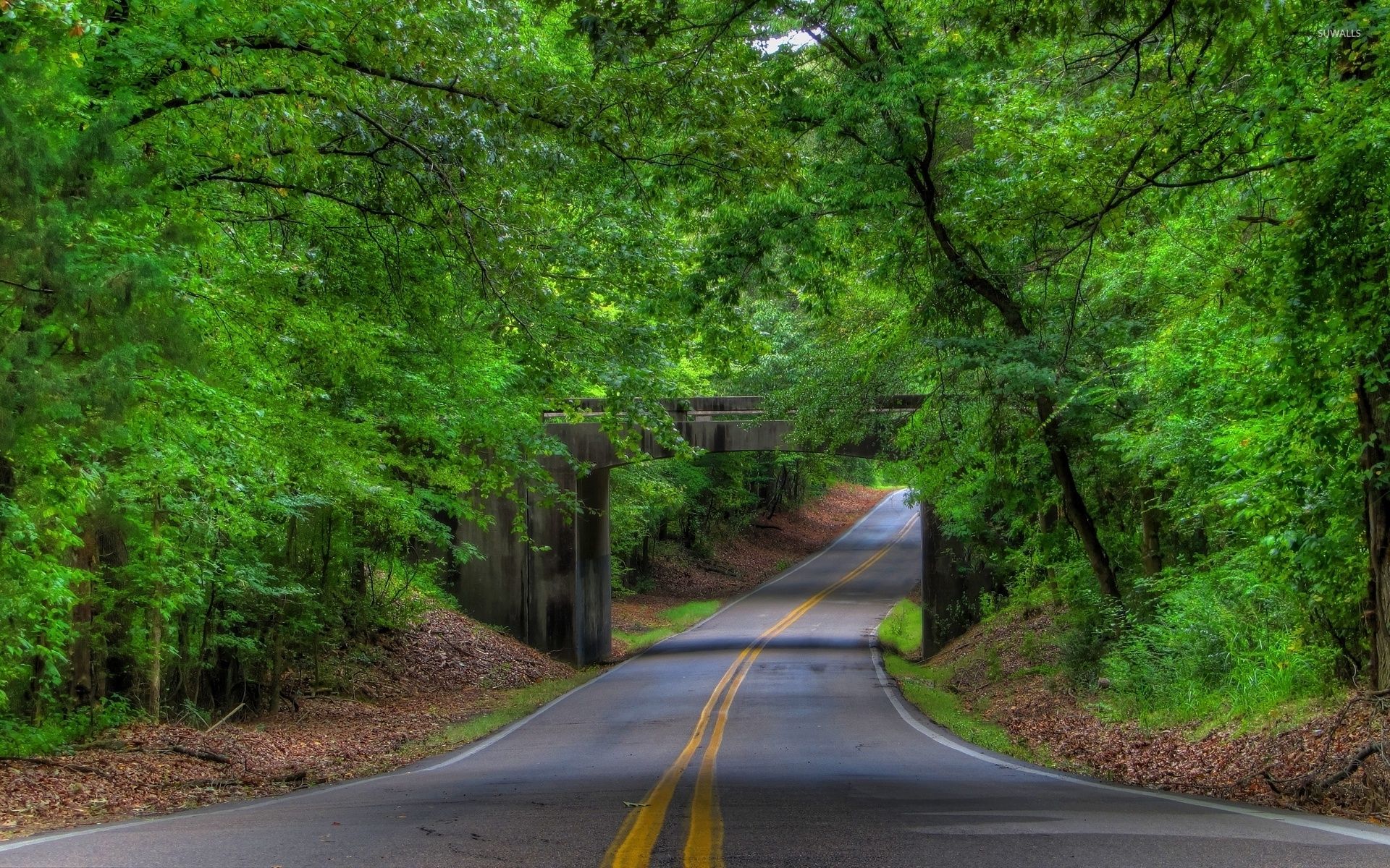 1920x1200 Road under the stone forest bridge wallpaper - Nature wallpapers ... Wallpaper