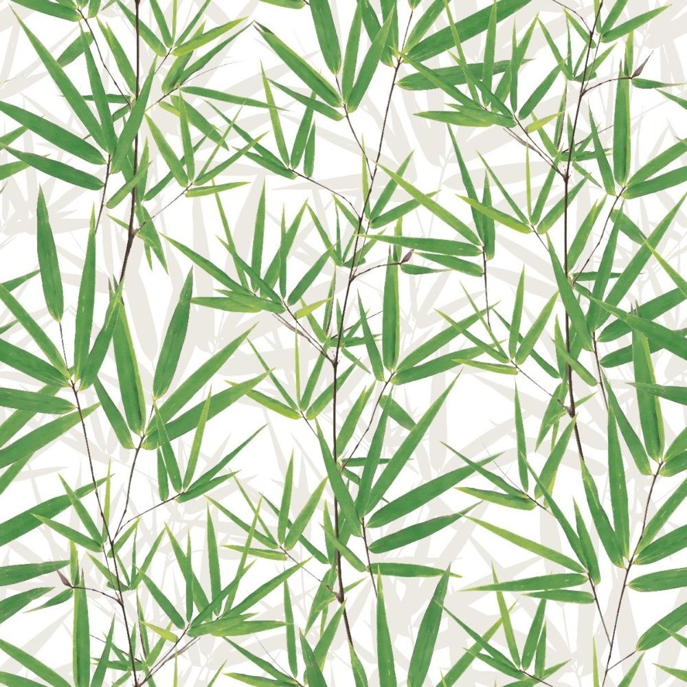 Bamboo Wallpapers - 4k, HD Bamboo Backgrounds on WallpaperBat