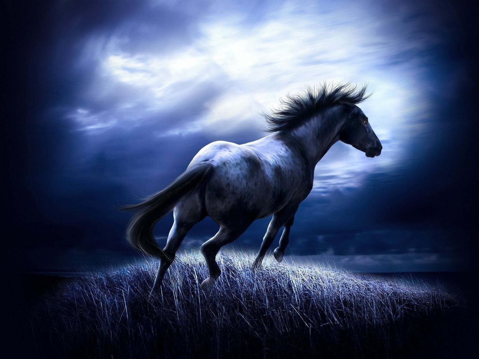 Dark Horse Wallpapers - 4k, HD Dark Horse Backgrounds on WallpaperBat