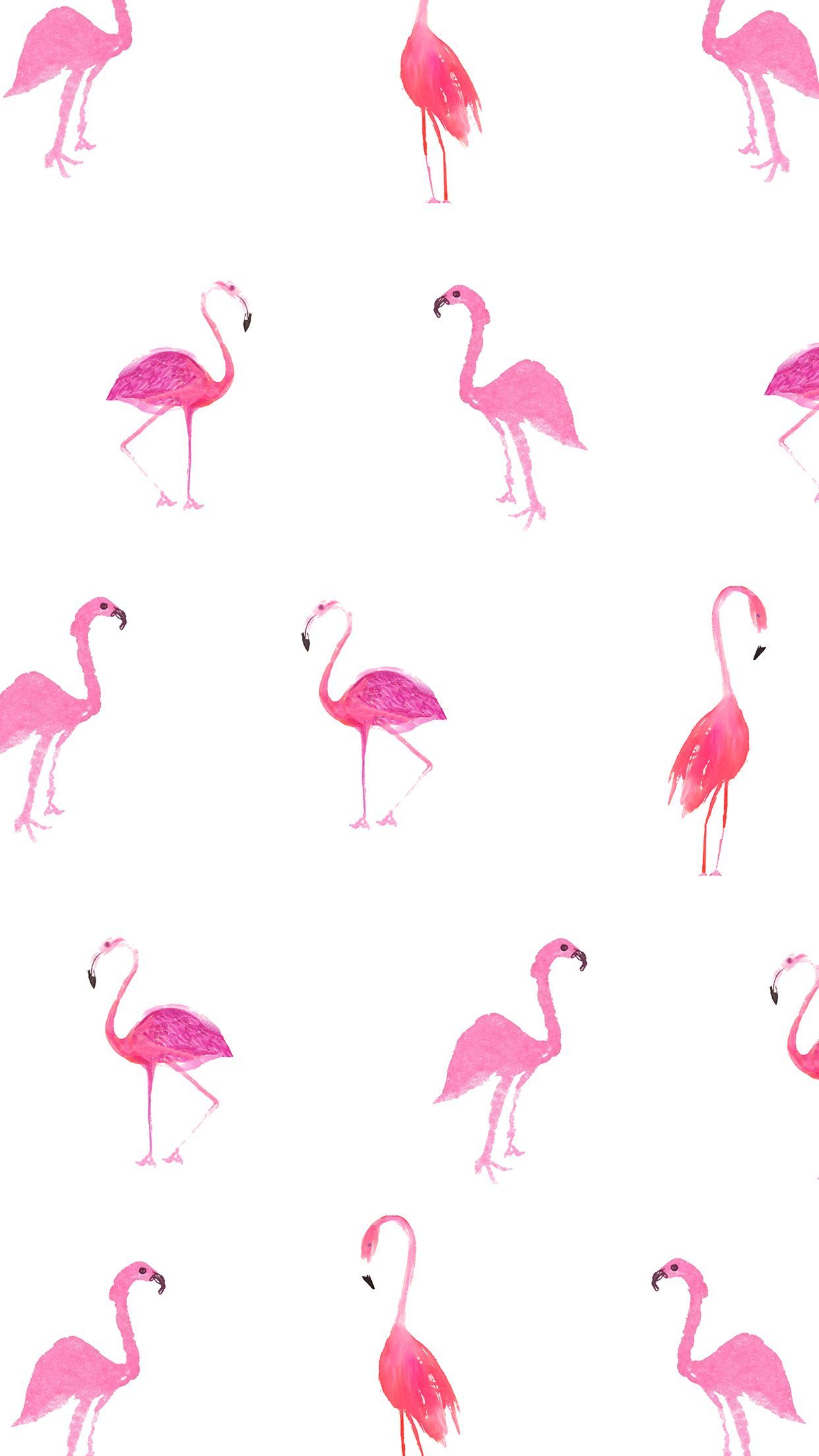 Flamingo Print Wallpapers - 4k, HD Flamingo Print Backgrounds on