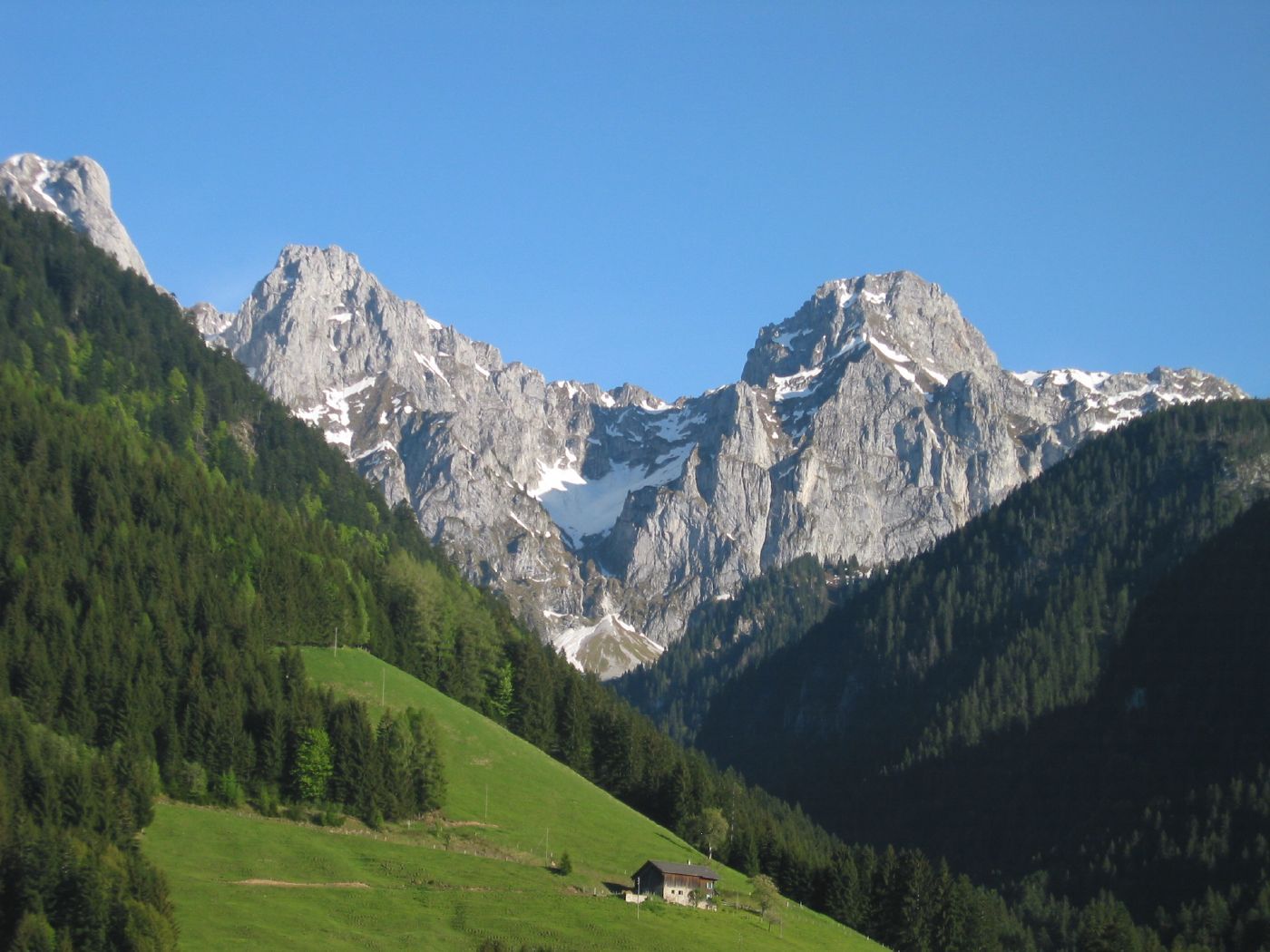 The alps are high. Альпы Швейцария. Хайкинг Юлийские Альпы. Горы лес Альпы. Alps Альпы.