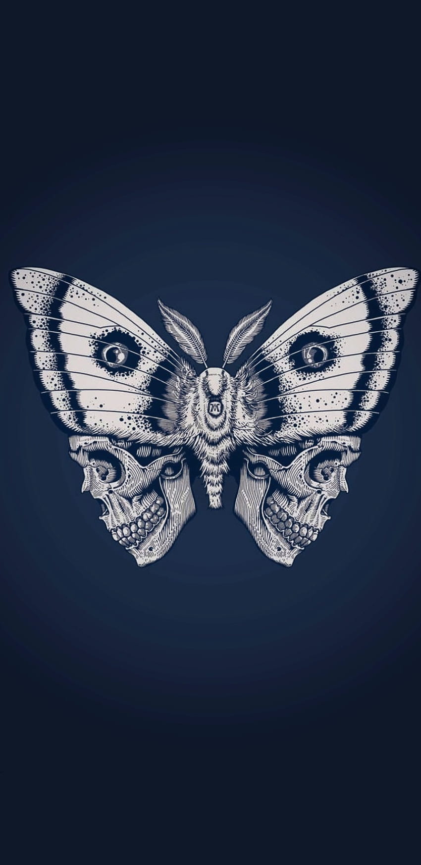 Skulls and Butterflies Wallpapers - 4k, HD Skulls and Butterflies