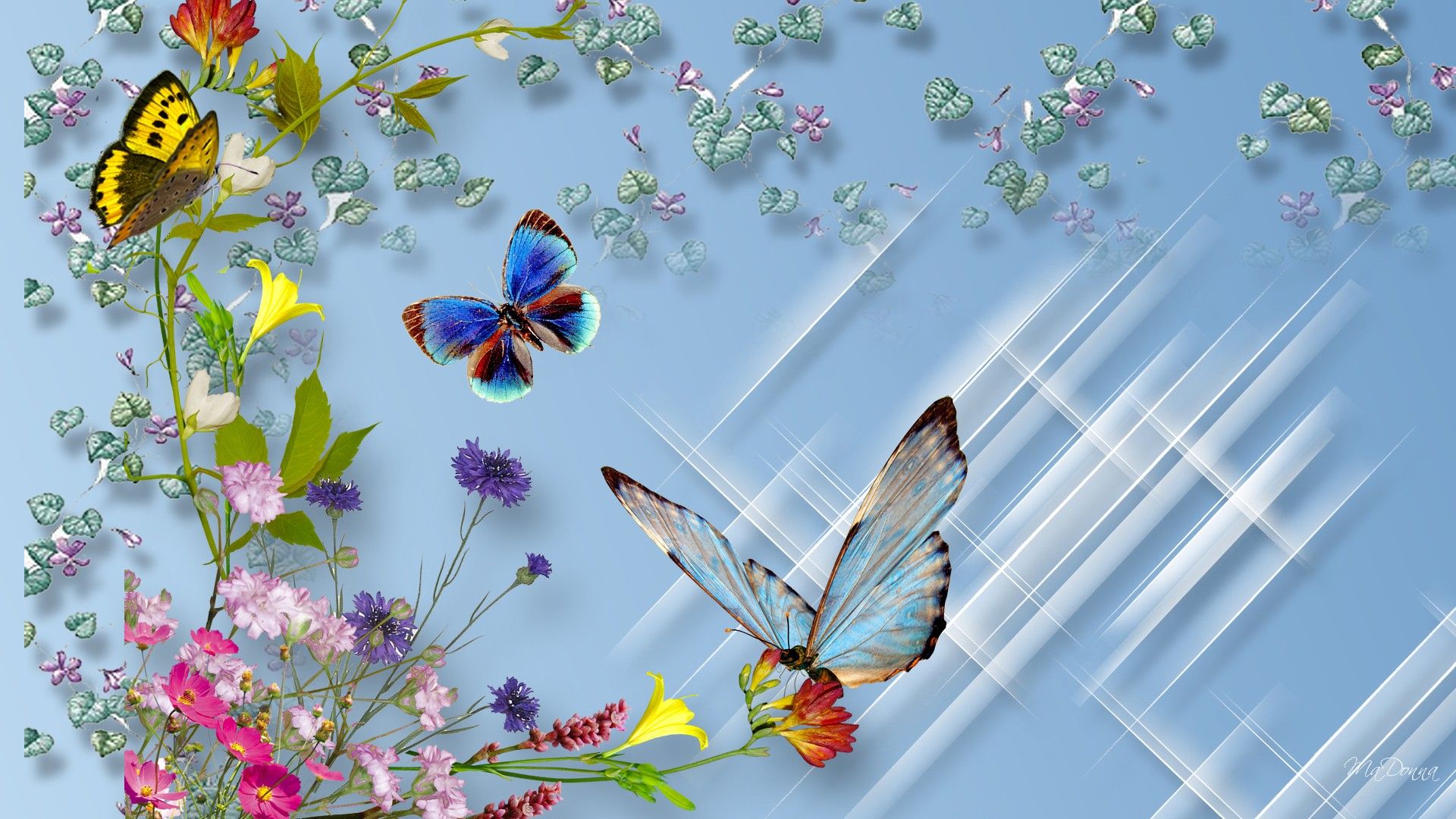 1920x1080 Butterflies and Flowers on WallpaperBat
