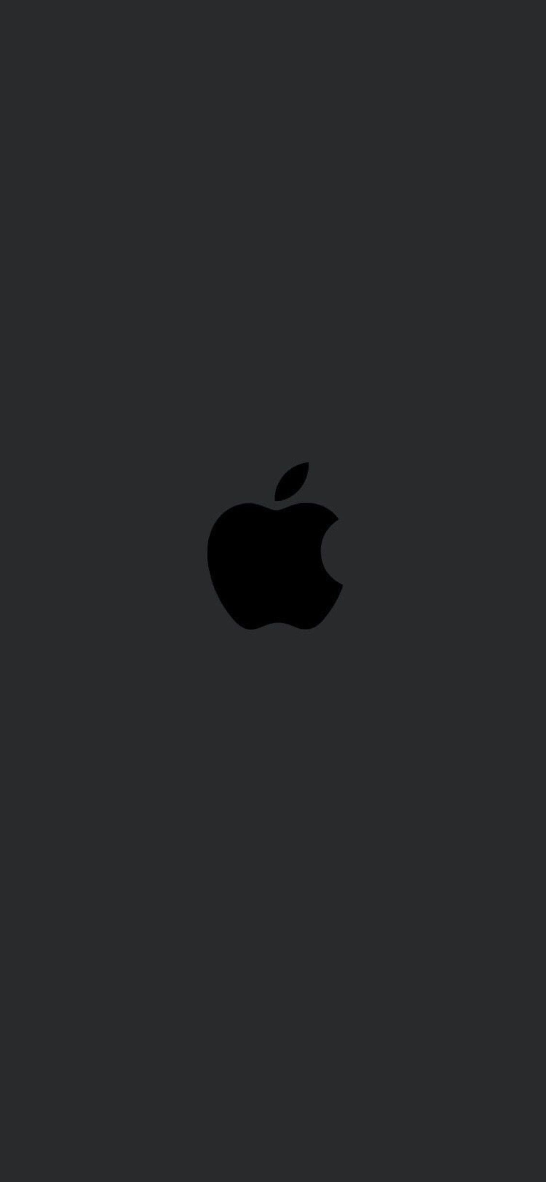 iPhone 12 Apple Logo Wallpapers - 4k, HD iPhone 12 Apple Logo ...