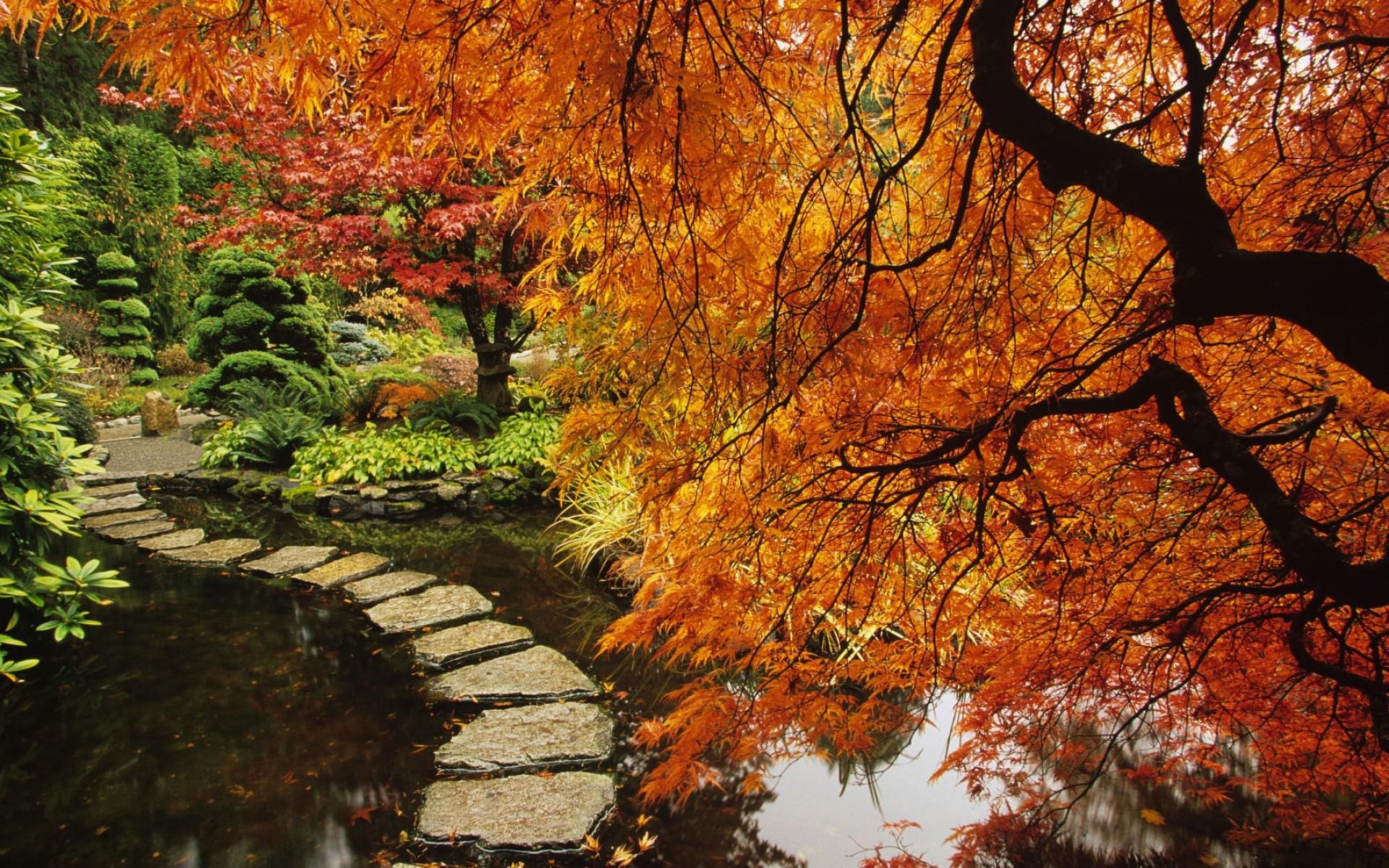 Autumn Garden Wallpapers - 4k, HD Autumn Garden Backgrounds on WallpaperBat