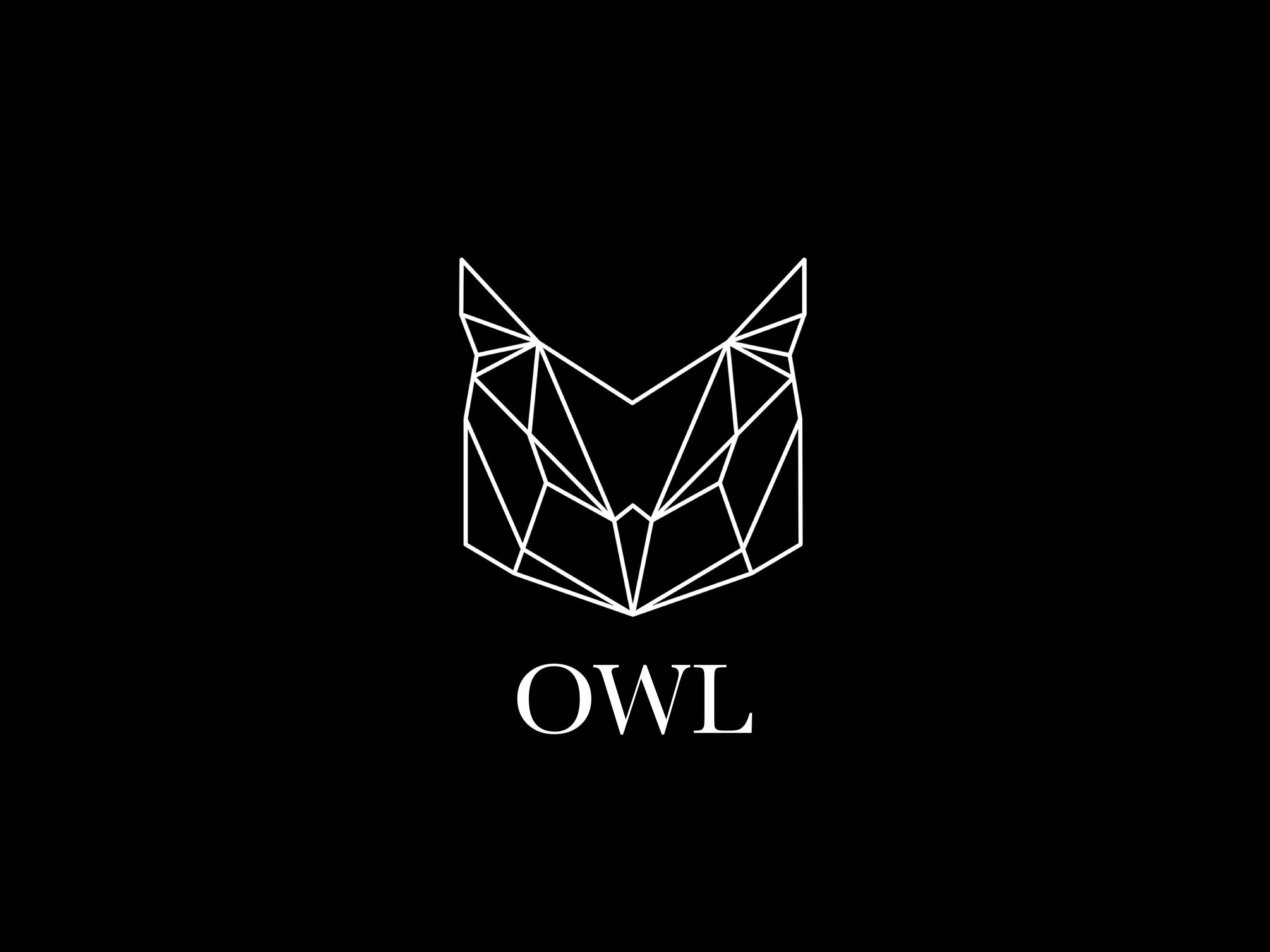 2783x2087 Geometric Owl Logo by Ahmed Akram on Dribbble Wallpaper