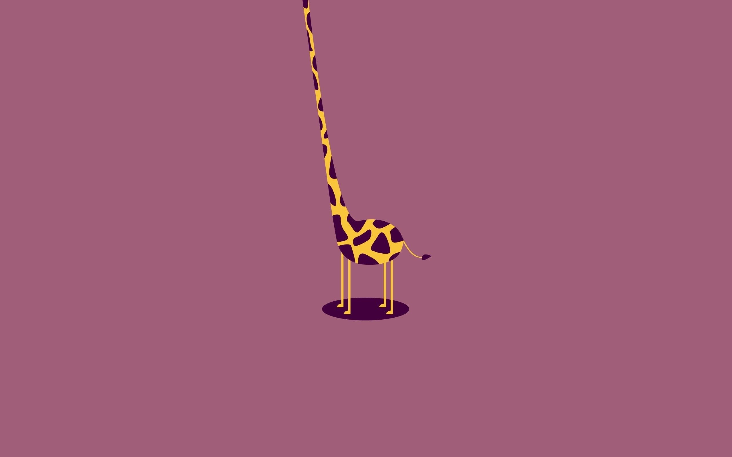 2560x1600 Cute Giraffe Wallpapers - Top Free Cute Giraffe Backgrounds ... Wallpaper