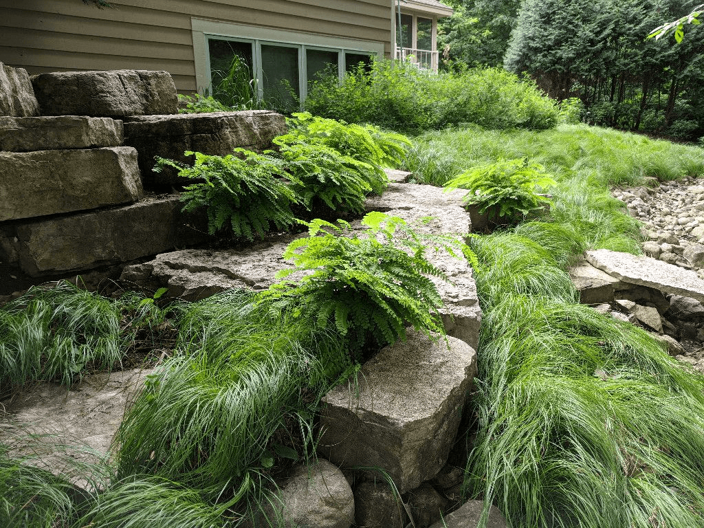 Rain Garden Wallpapers - 4k, HD Rain Garden Backgrounds on WallpaperBat