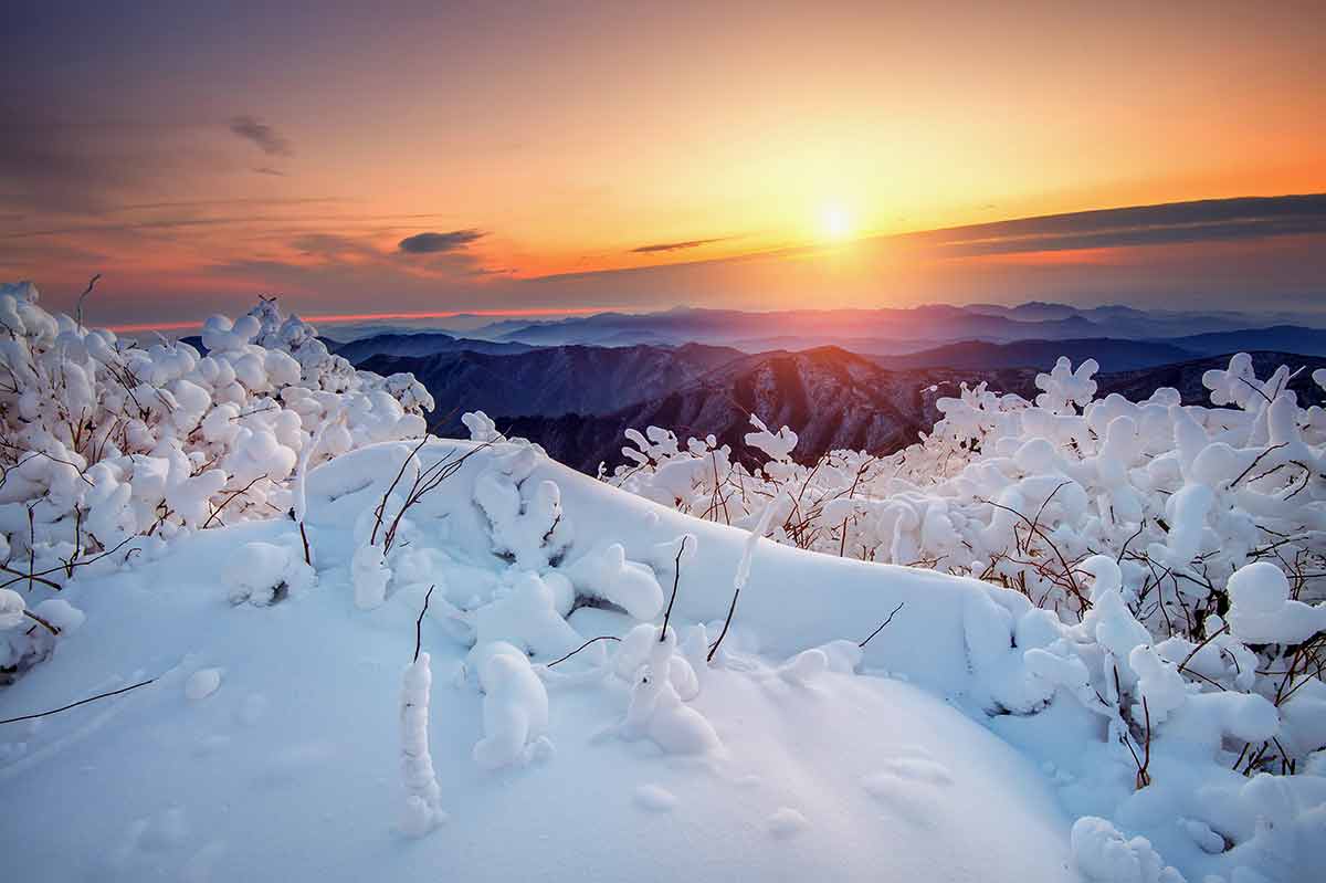 Korea Winter Wallpapers - 4k, HD Korea Winter Backgrounds on WallpaperBat