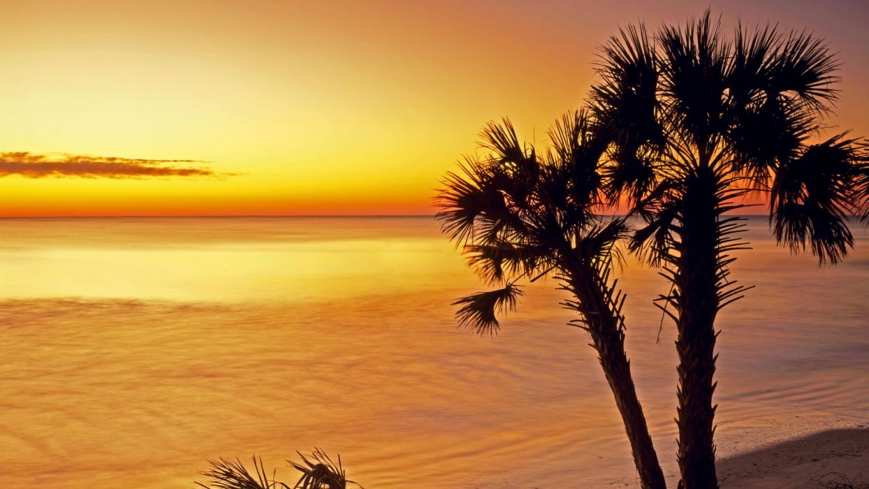 1244x700 Sunrise silhouettes islands parks South Carolina sea wallpaper on WallpaperBat