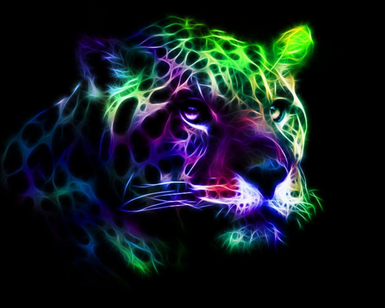 Neon Animal Wallpapers - 4k, HD Neon Animal Backgrounds on WallpaperBat