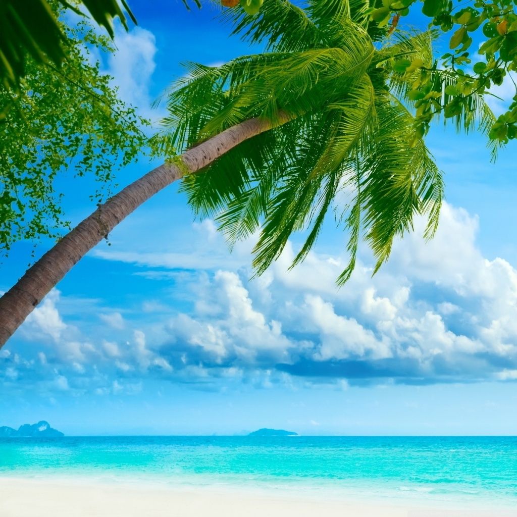 Tropical Beach Exotic Wallpapers - 4k, HD Tropical Beach Exotic ...