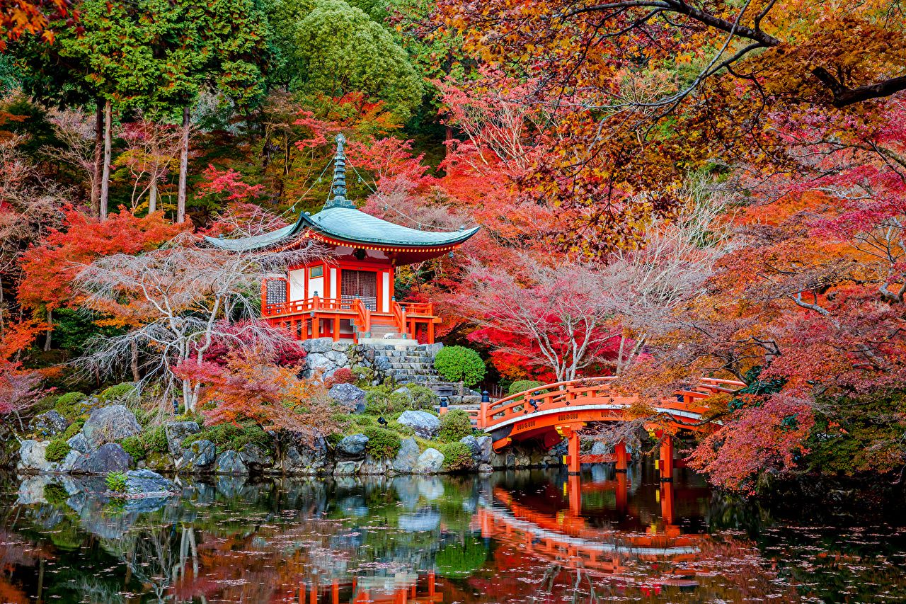 Kyoto Japan Wallpapers - 4k, HD Kyoto Japan Backgrounds on WallpaperBat