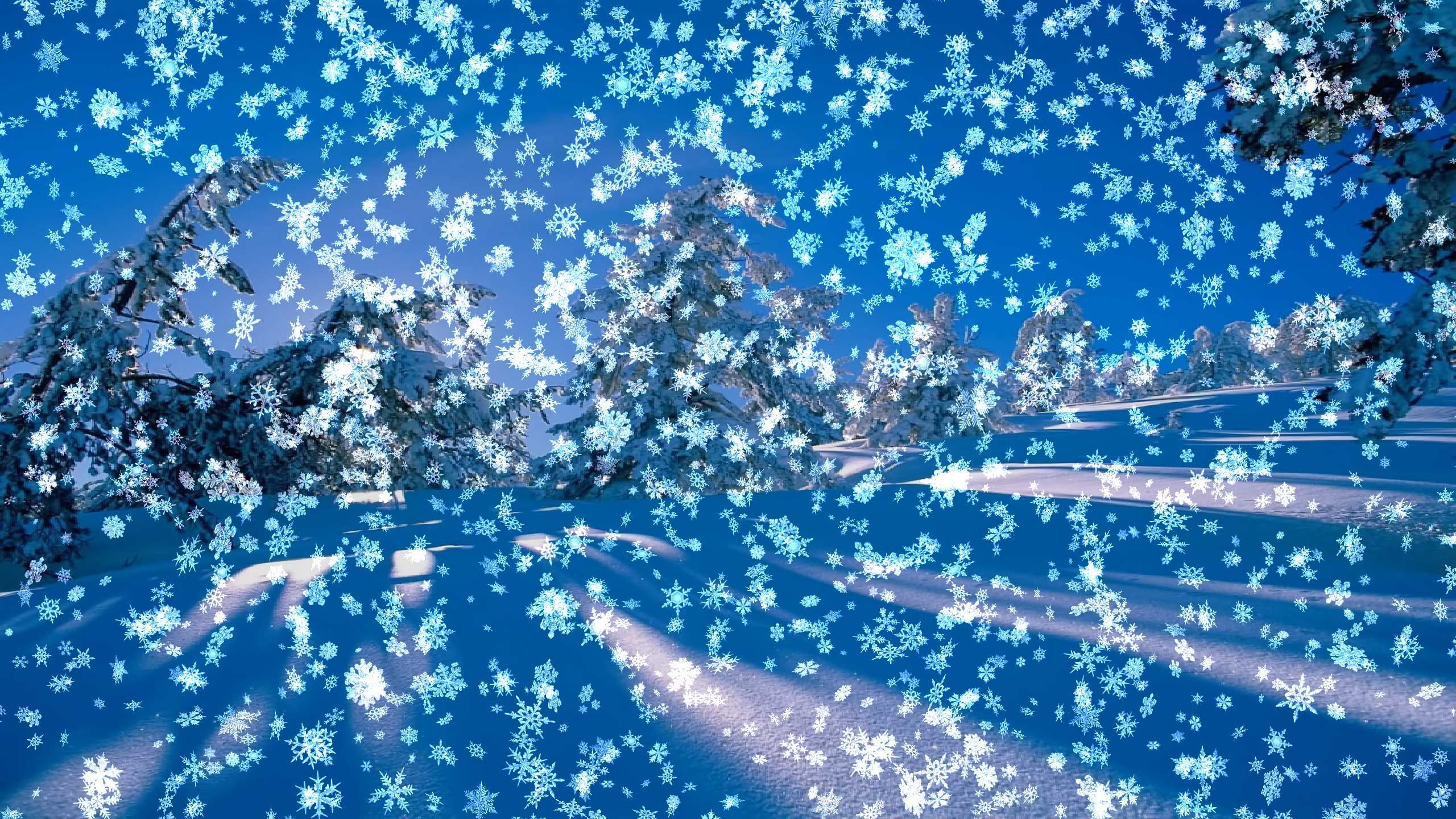 Live Winter Wallpapers - 4k, HD Live Winter Backgrounds on WallpaperBat