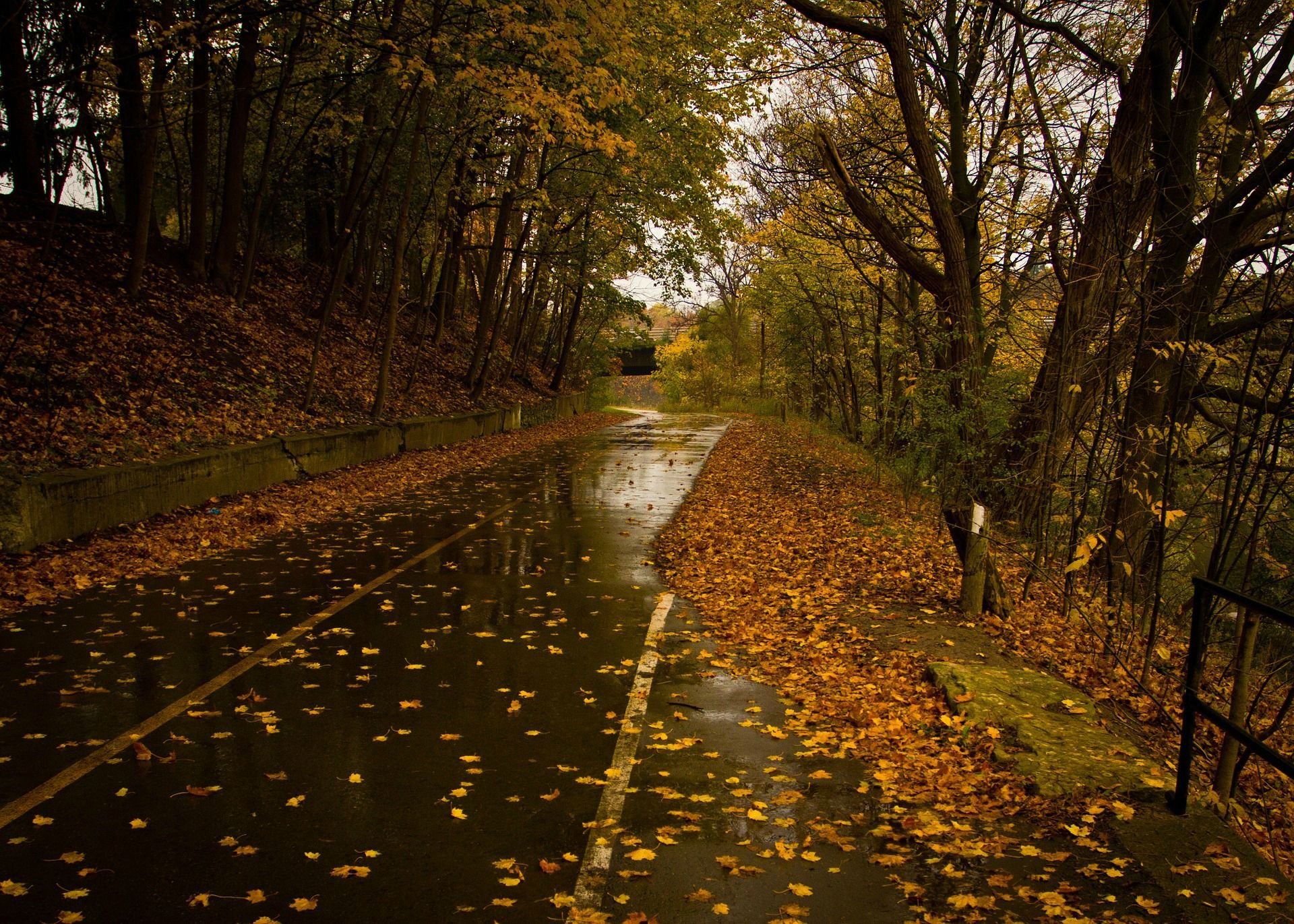 Autumn Rain Wallpapers - 4k, HD Autumn Rain Backgrounds on WallpaperBat