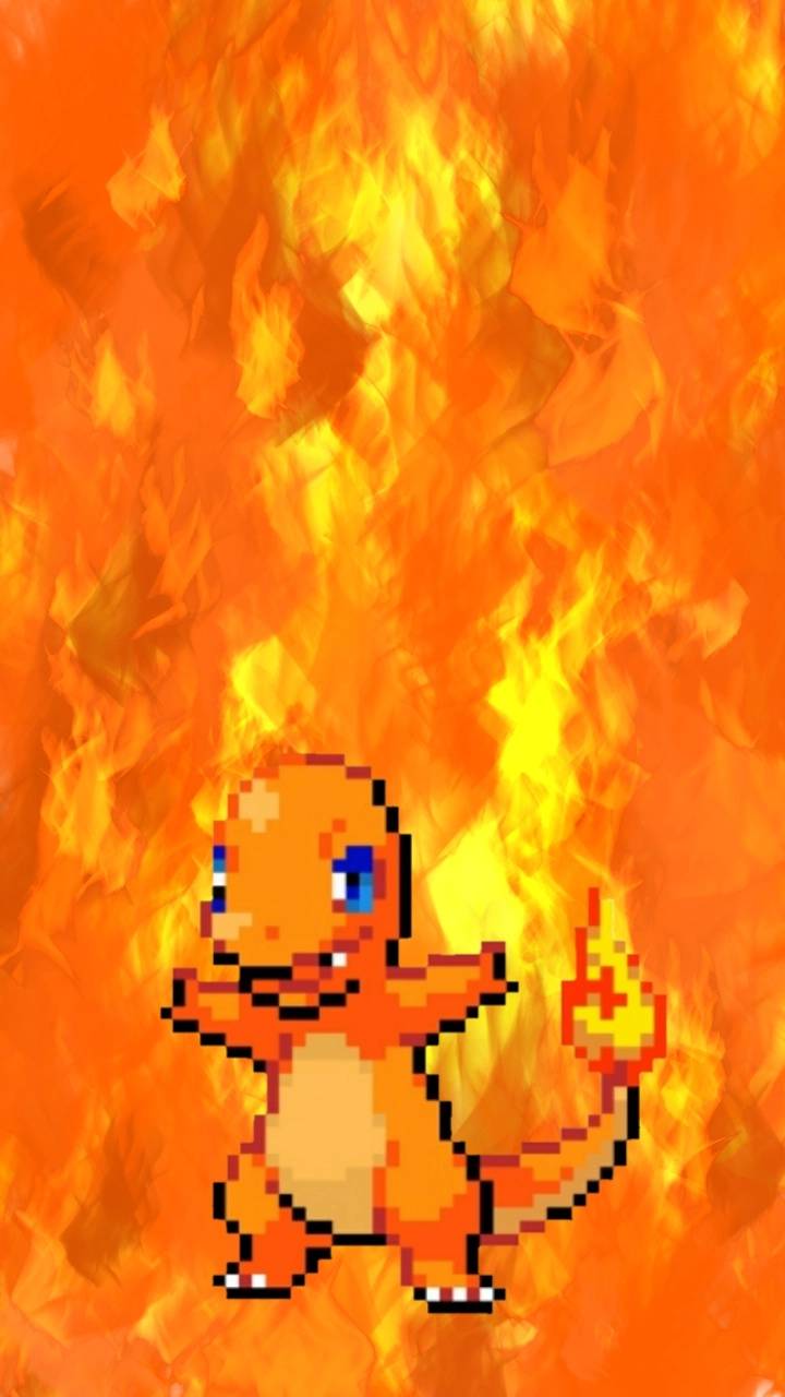 Charmander Wallpapers - 4k, Hd Charmander Backgrounds On Wallpaperbat