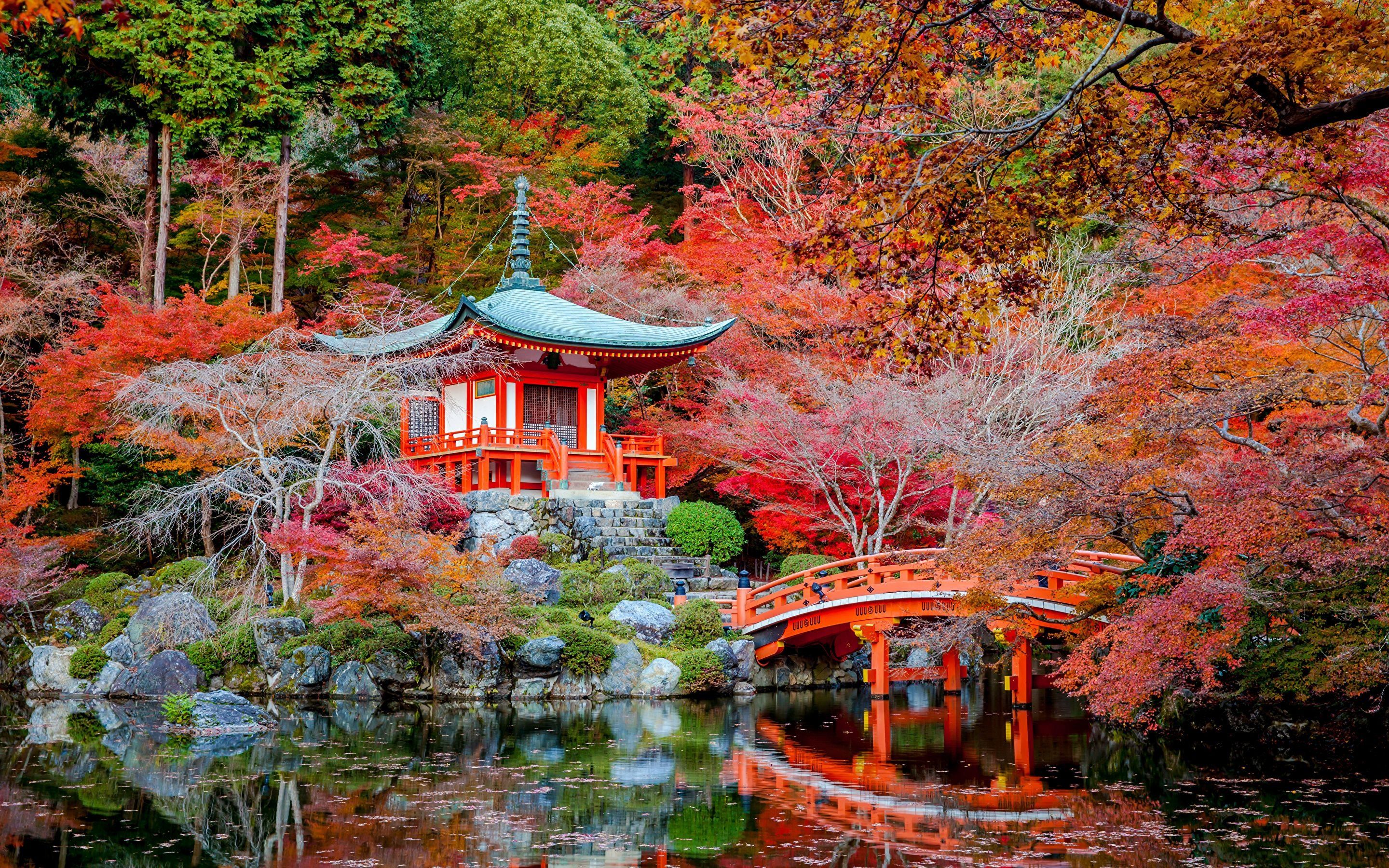 Japan Autumn Wallpapers - 4k, HD Japan Autumn Backgrounds on WallpaperBat