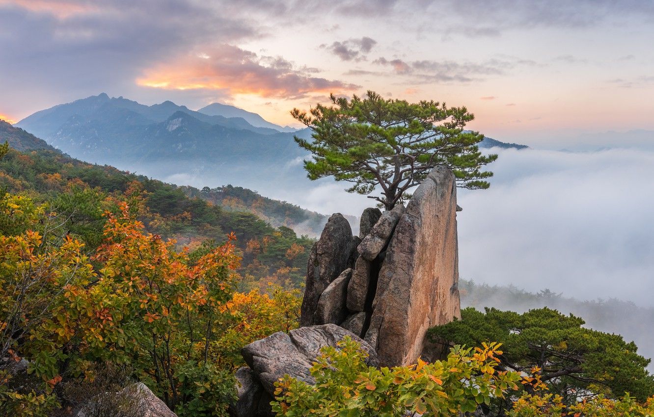 South Korean Landscape Wallpapers - 4k, HD South Korean Landscape ...