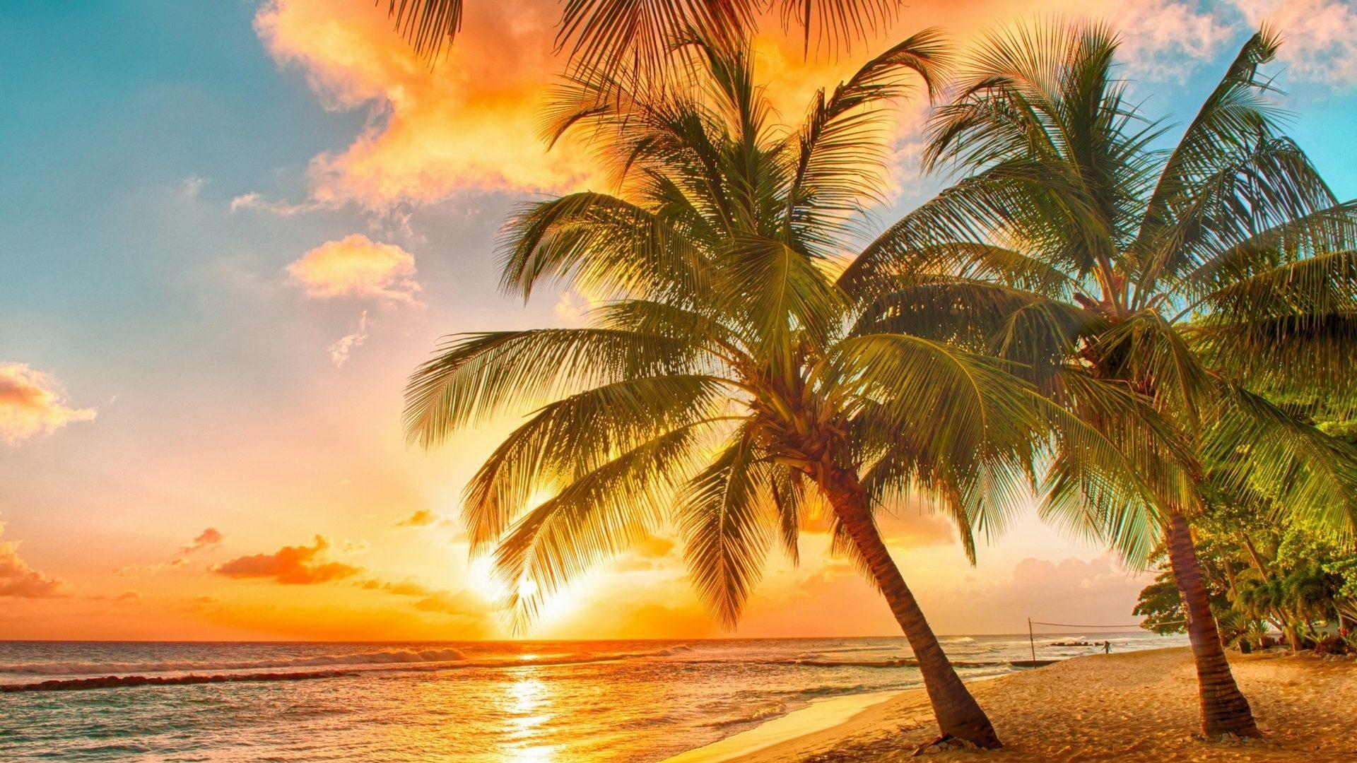 Tropical Beach Sunset Wallpapers 4k Hd Tropical Beach Sunset Backgrounds On Wallpaperbat 