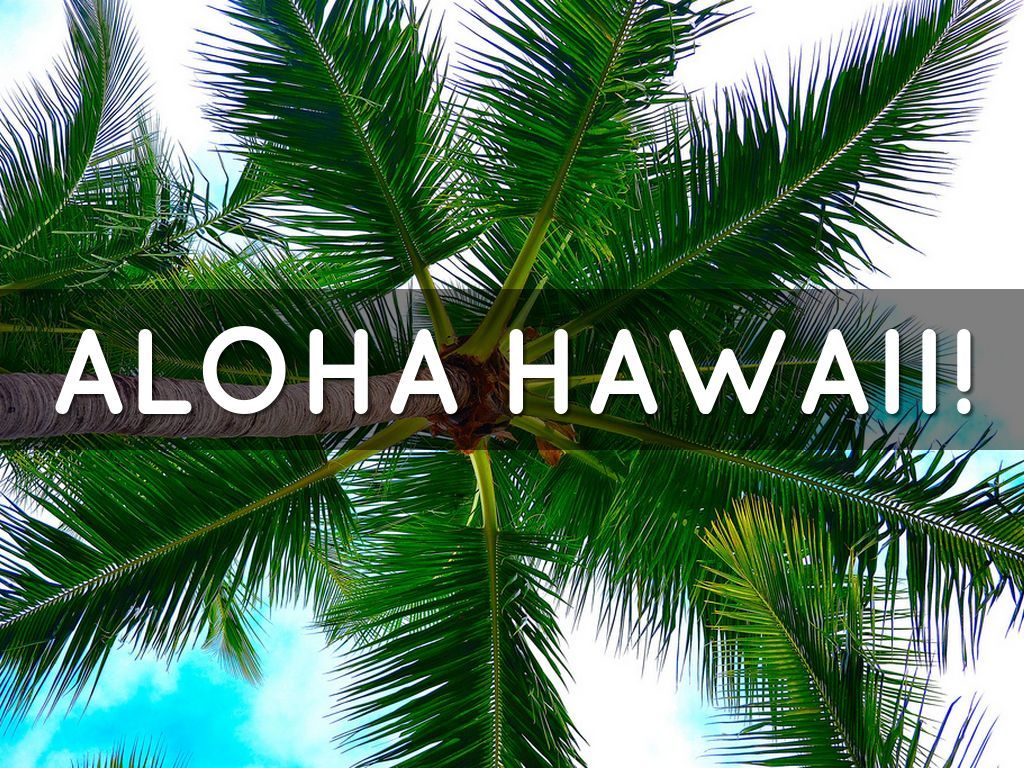 Aloha Hawaii Wallpapers 4k Hd Aloha Hawaii Backgrounds On Wallpaperbat