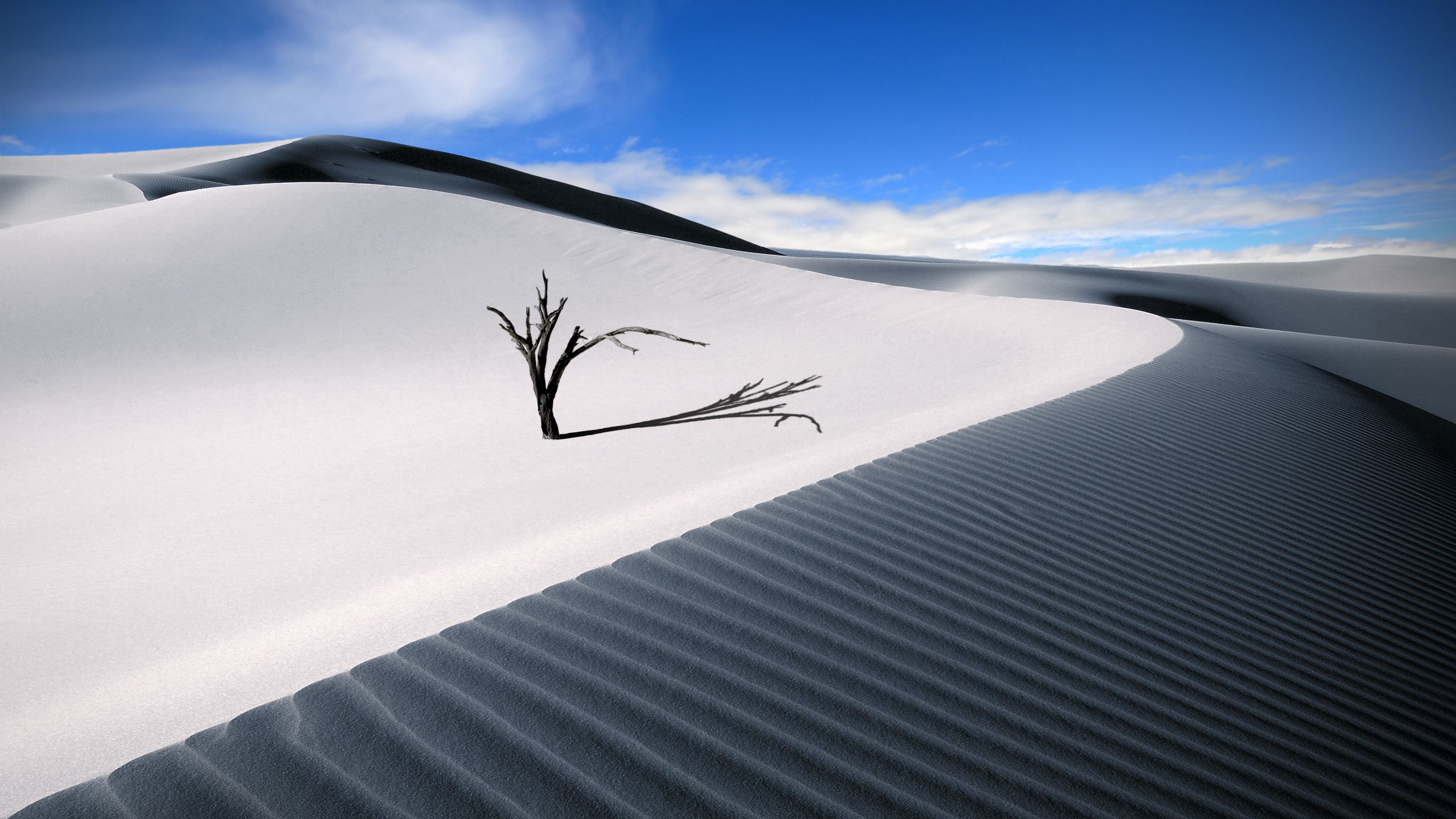 Desert Wallpapers 4k Hd Desert Backgrounds On Wallpaperbat