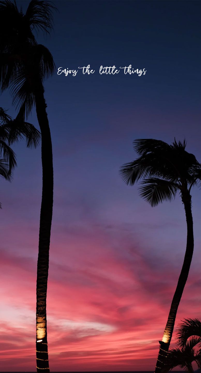 Tropical Beach Sunset iPhone Wallpapers - 4k, HD Tropical Beach Sunset