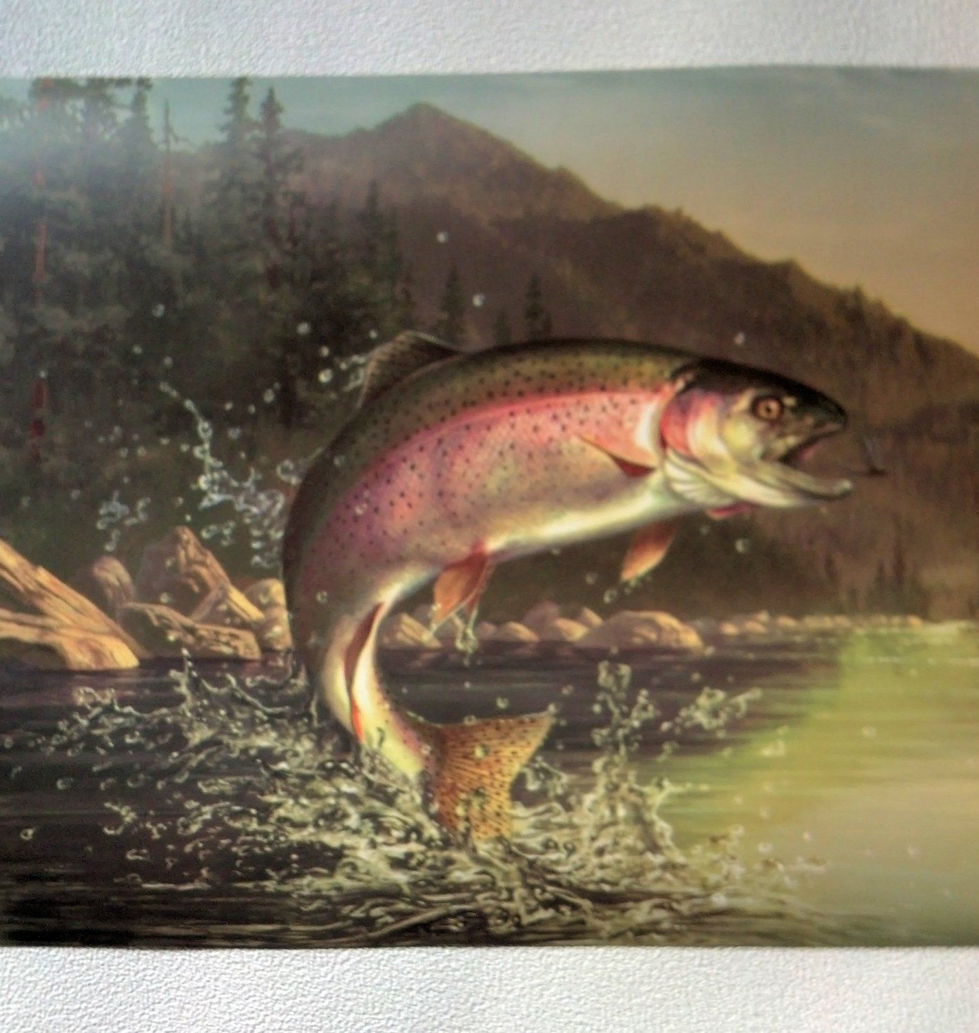 Trout Wallpapers - 4k, HD Trout Backgrounds on WallpaperBat