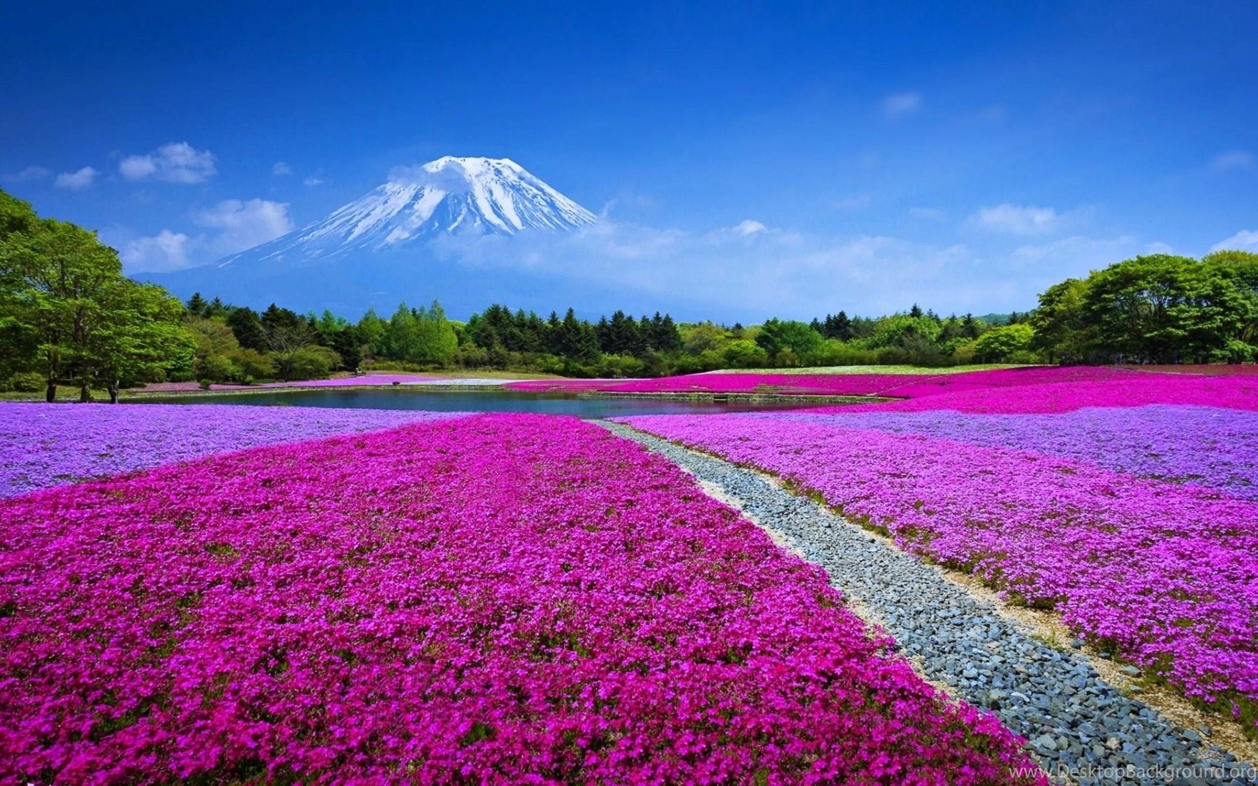Japanese Landscape Wallpapers - 4k, HD Japanese Landscape Backgrounds