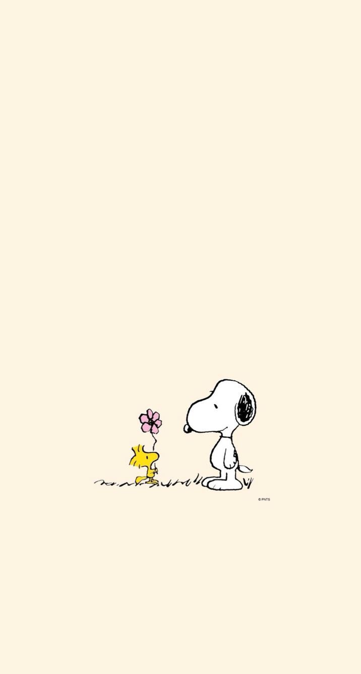 Snoopy Wallpapers - 4k, HD Snoopy Backgrounds on WallpaperBat