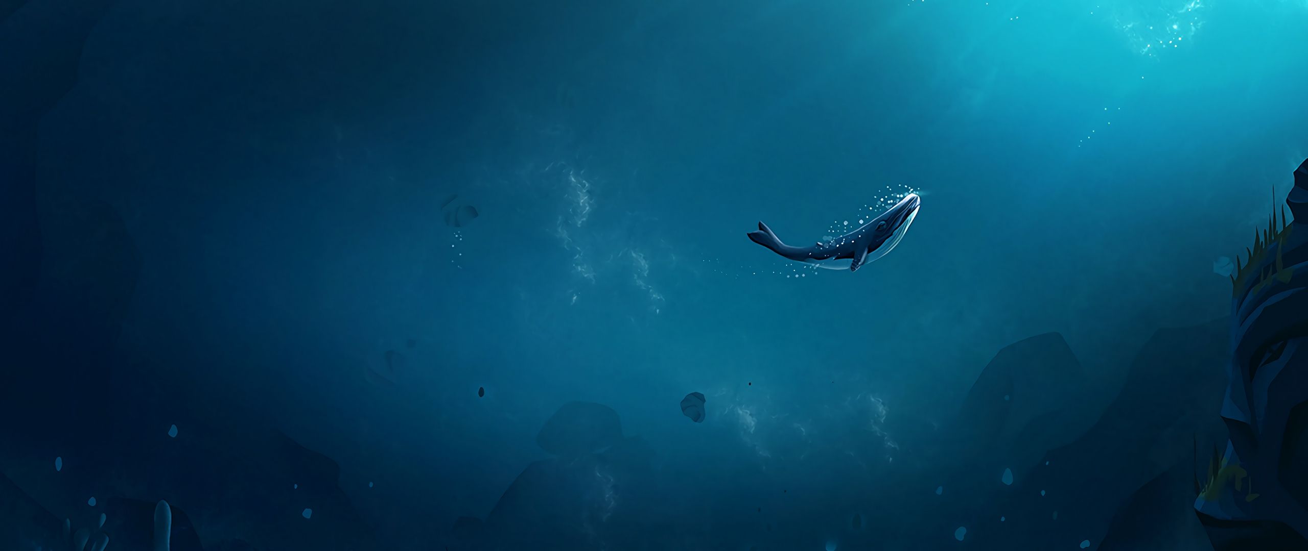 Underwater Wallpapers - 4k, HD Underwater Backgrounds on WallpaperBat