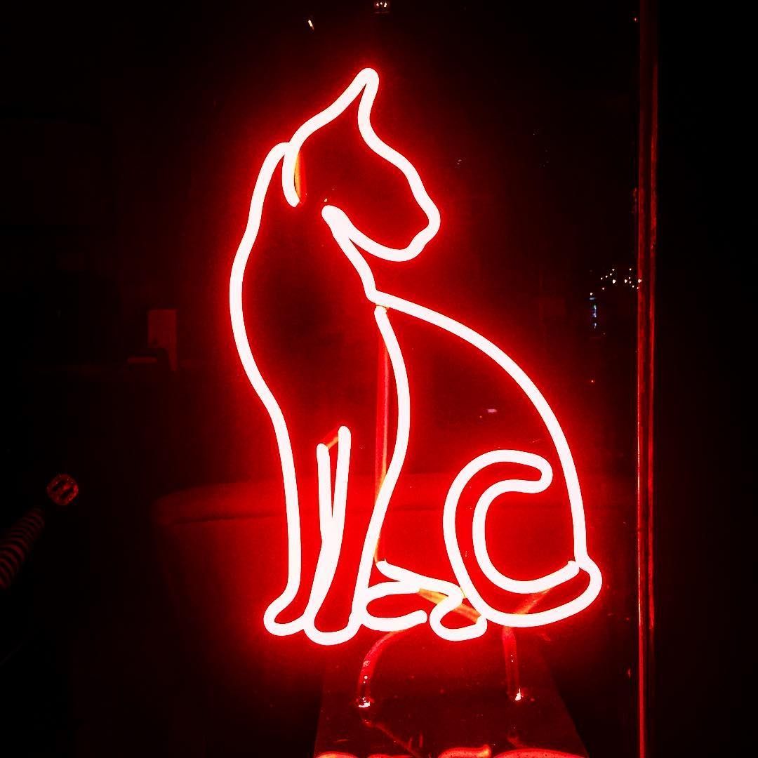 Неоновые Картинки Котиков
