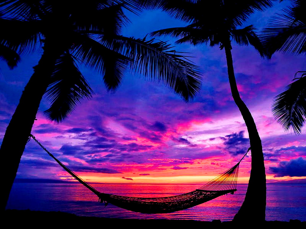 Tropical Beach Sunset Wallpapers 4k Hd Tropical Beach Sunset Backgrounds On Wallpaperbat