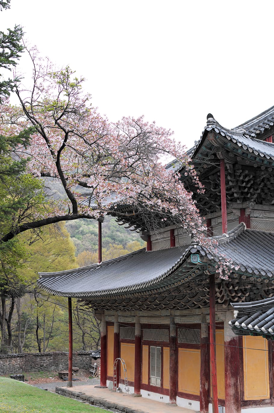 910x1369 HD wallpaper: korea, temple, section, travel, buddhism, tourism ... Wallpaper