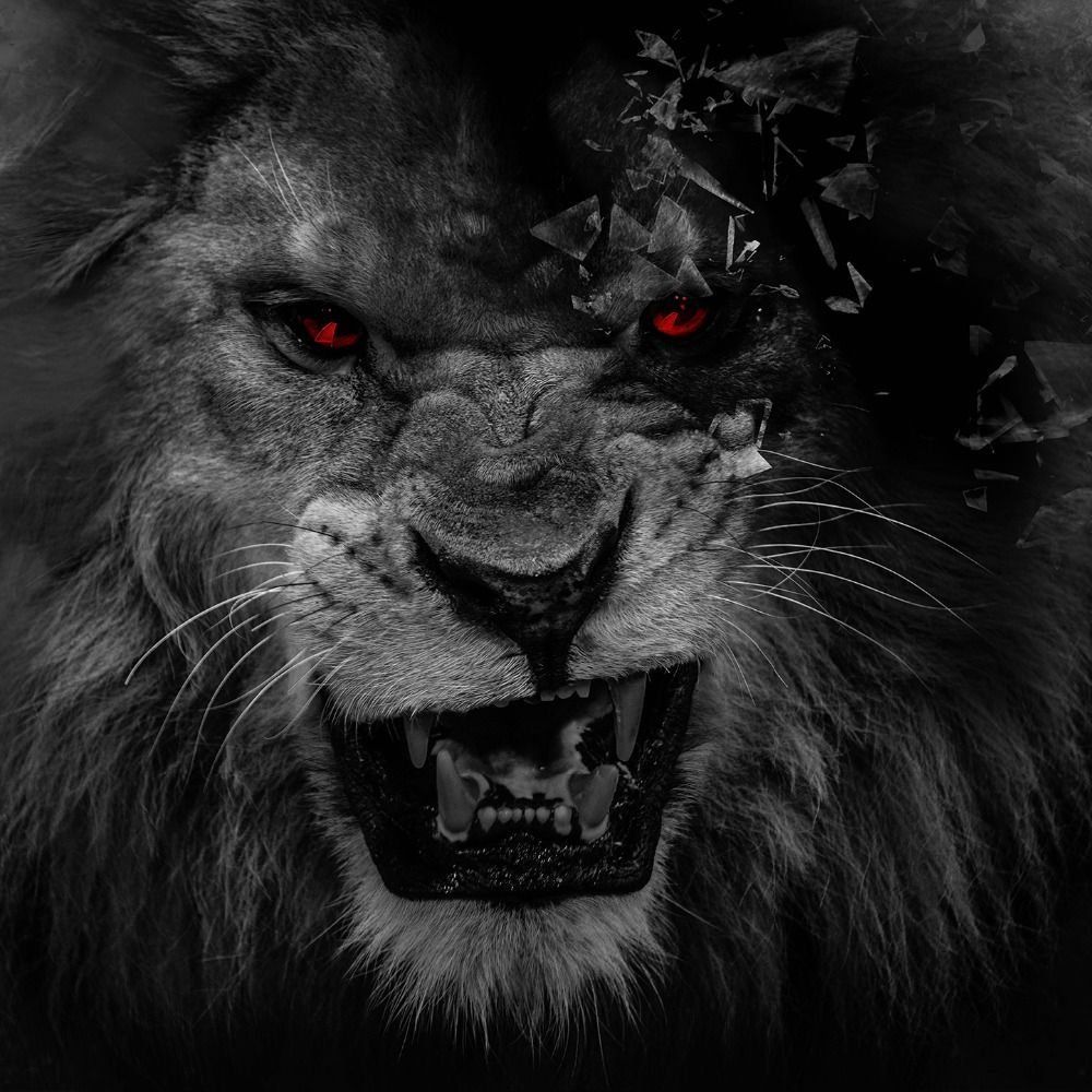 Red Lion Wallpapers - 4k, HD Red Lion Backgrounds on WallpaperBat