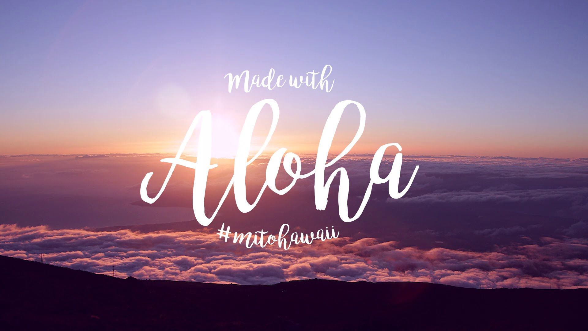 Aloha Hawaii Wallpapers 4k Hd Aloha Hawaii Backgrounds On Wallpaperbat