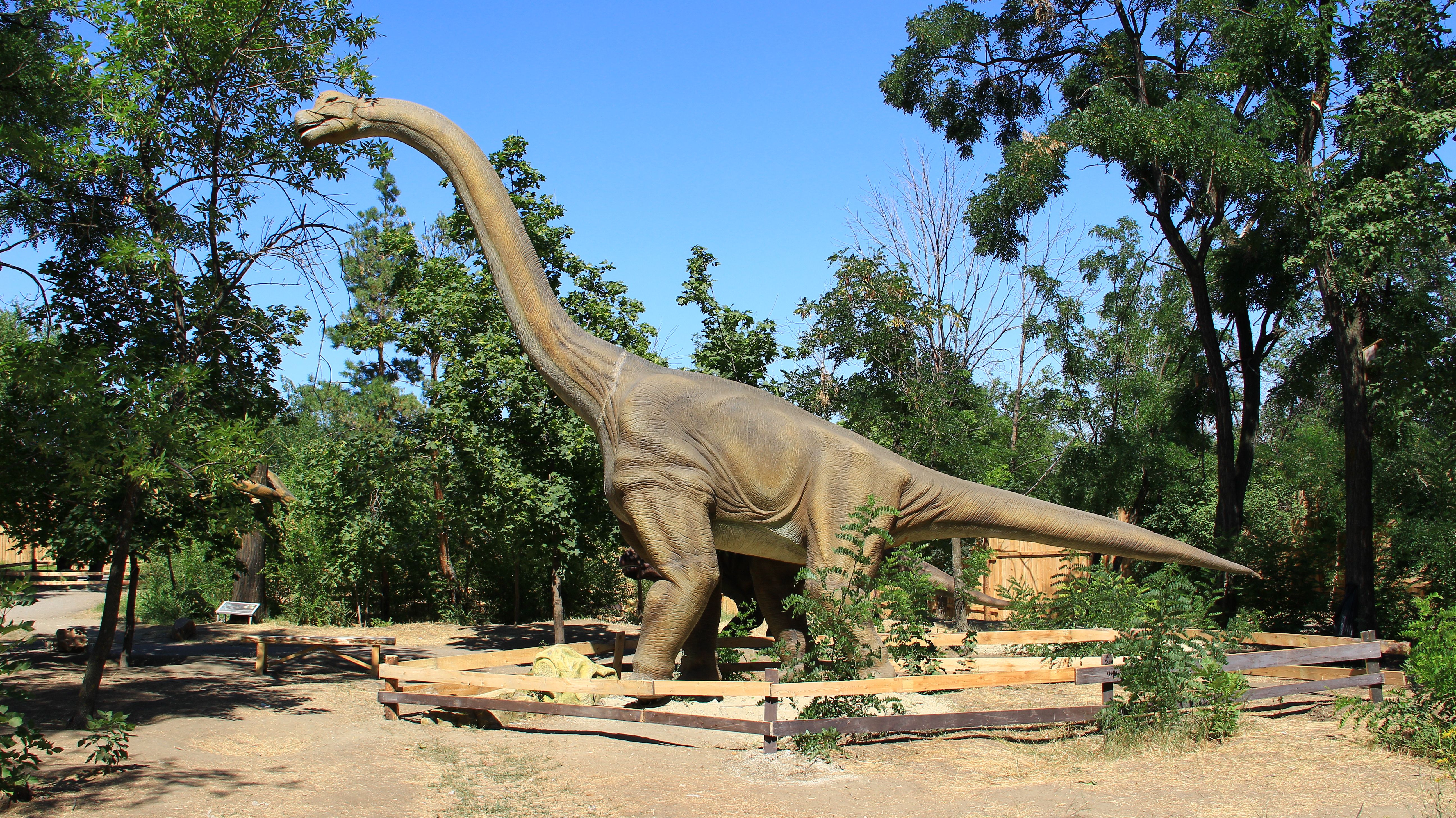 Brachiosaurus. Брахиозавр динозавр. Парк Юрского периода 3 Брахиозавр. Брахиозавр питается. Брахиозавр гибрид.