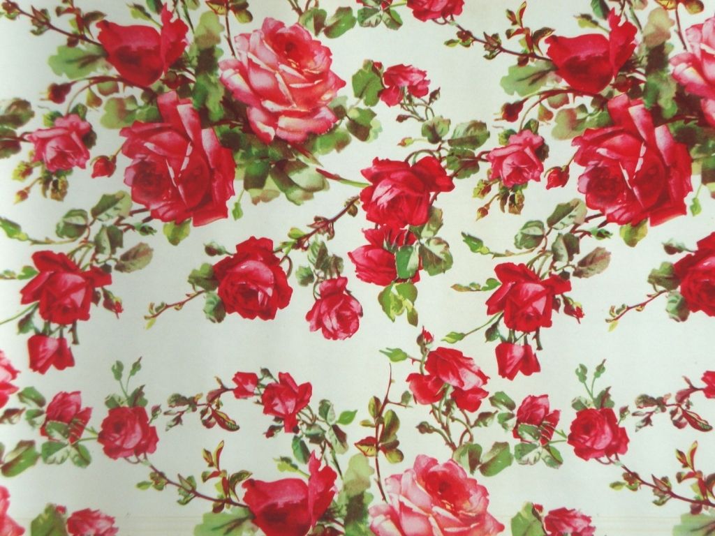 Vintage Rose Wallpapers - 4k, HD Vintage Rose Backgrounds on WallpaperBat