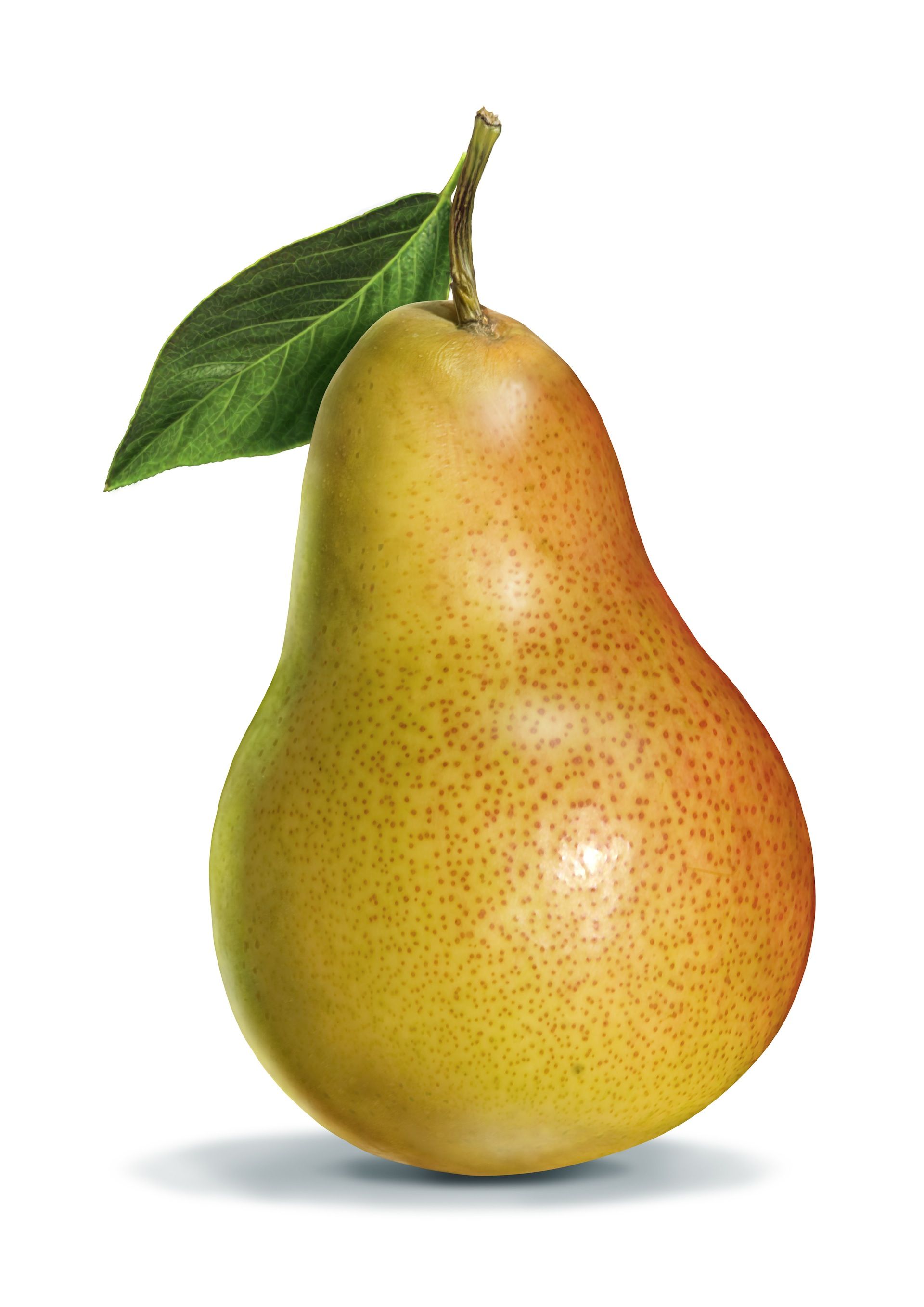 Pear Wallpapers.