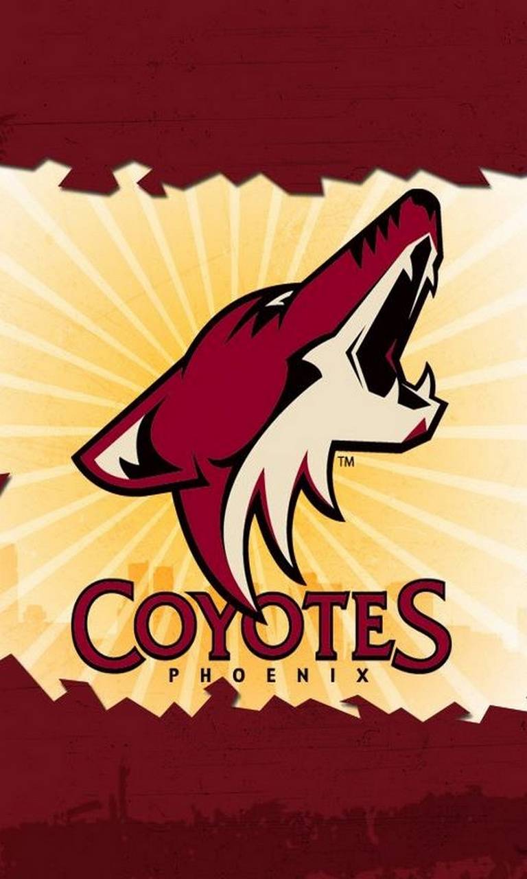 Phoenix Coyotes Wallpapers - 4k, HD Phoenix Coyotes Backgrounds on ...