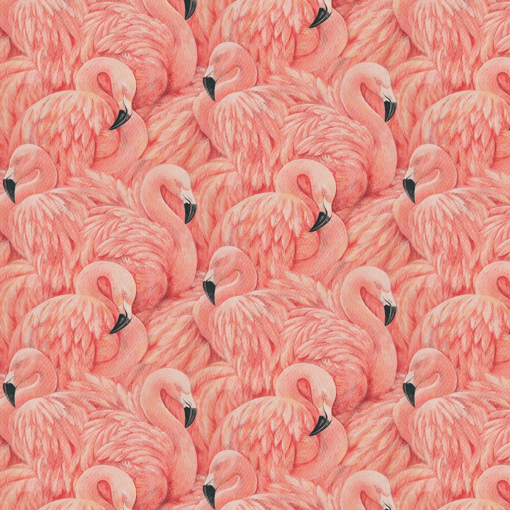 aesthetic flamingo pictures