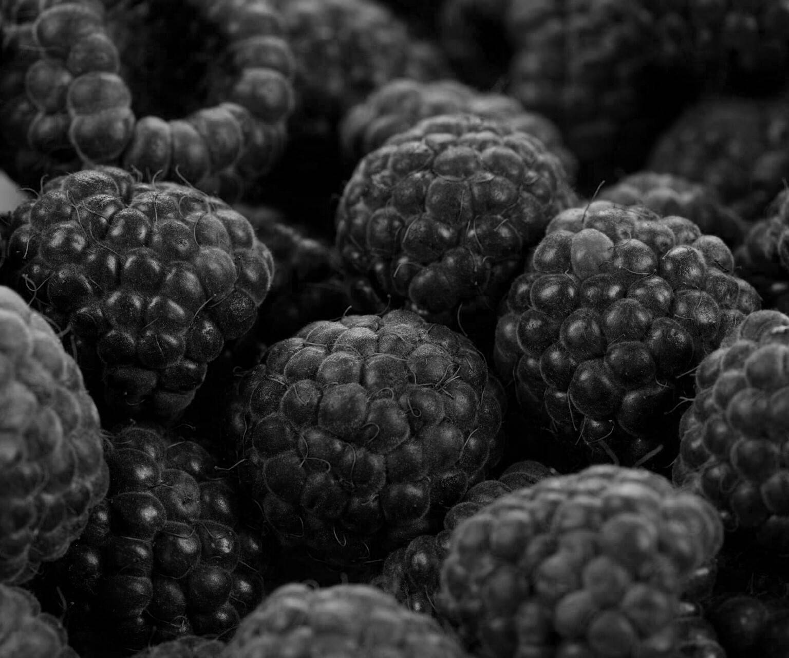 Black Raspberry