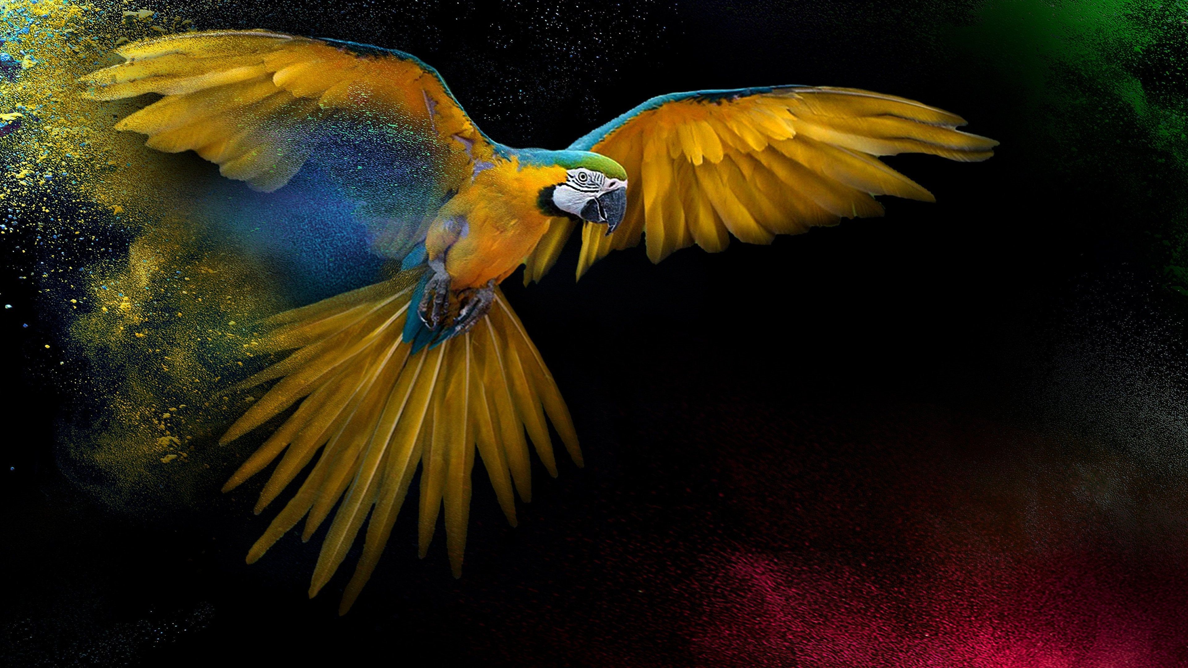 Parrot OS Wallpapers.