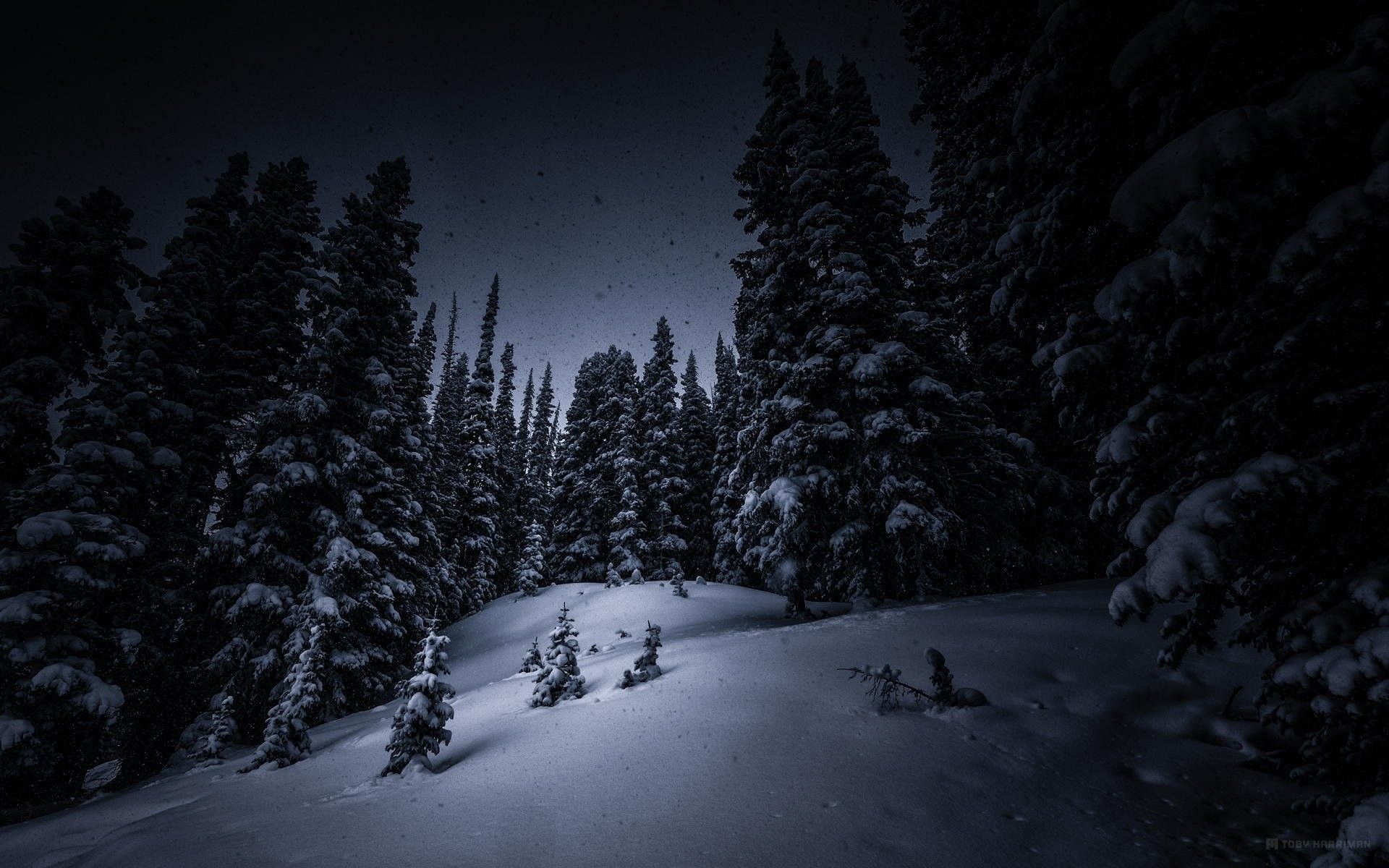 Dark Winter Wallpapers K Hd Dark Winter Backgrounds On Wallpaperbat